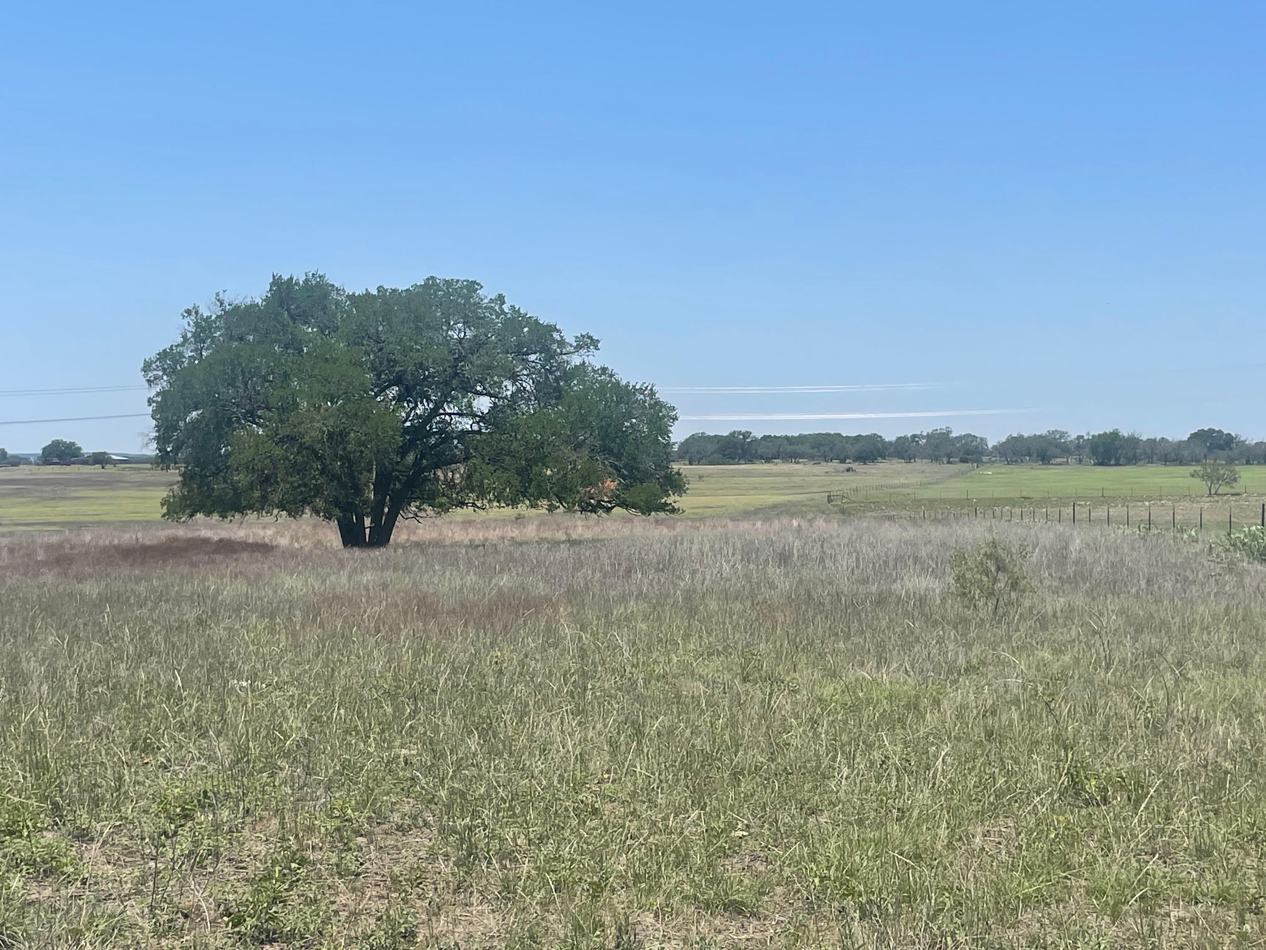 63.16 acres in Goldthwaite, TX, 76844