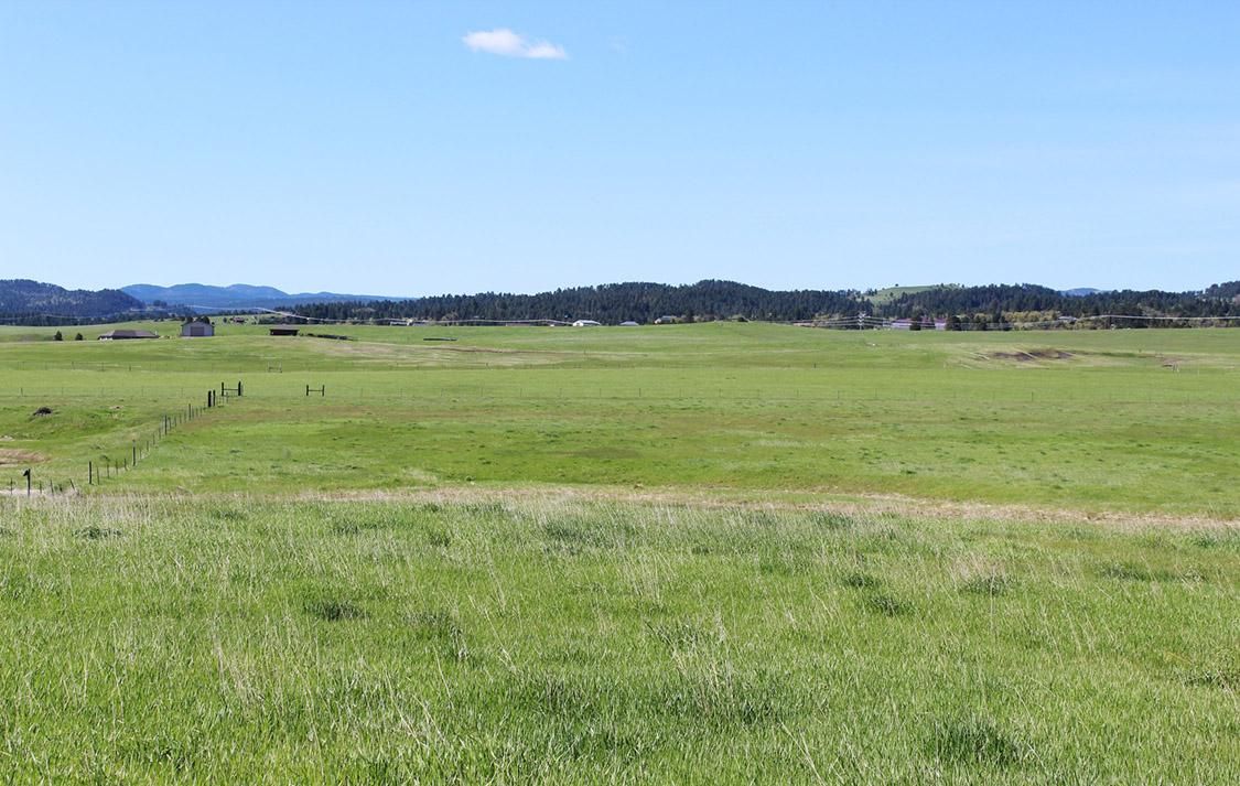 20 acres in Lawrence County, South Dakota