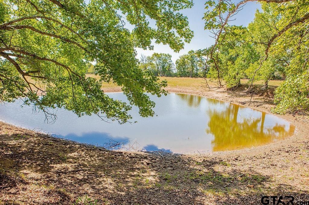 93.82 acres in Wood County, Texas