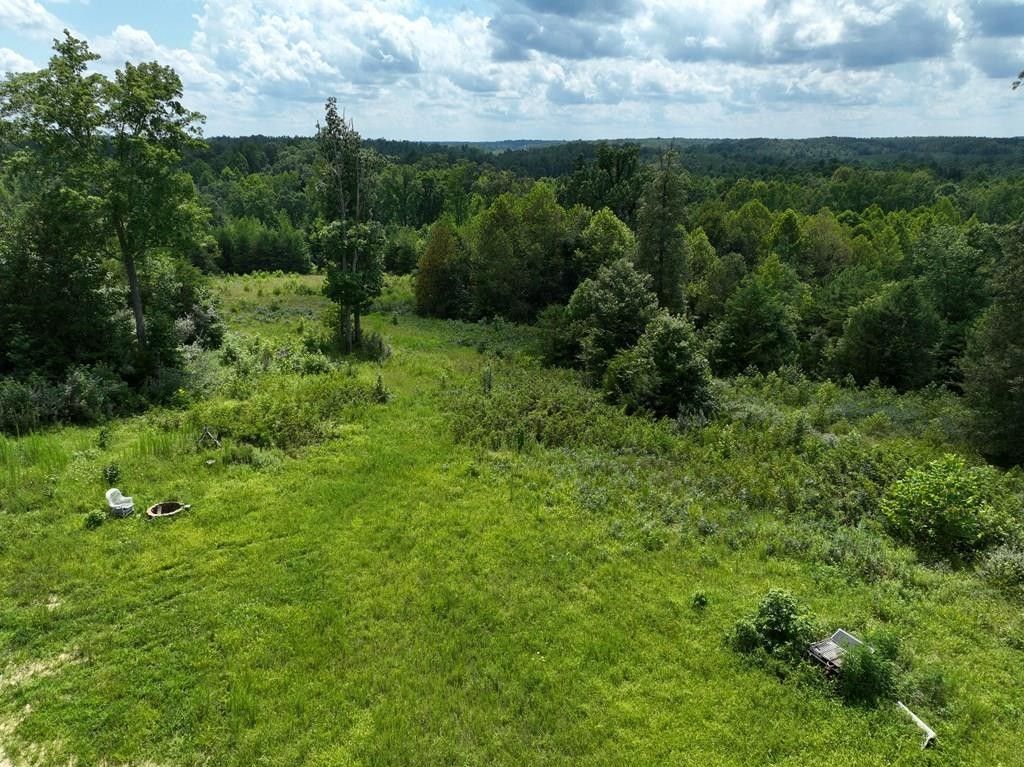 9.62 acres in Prince Edward County, Virginia