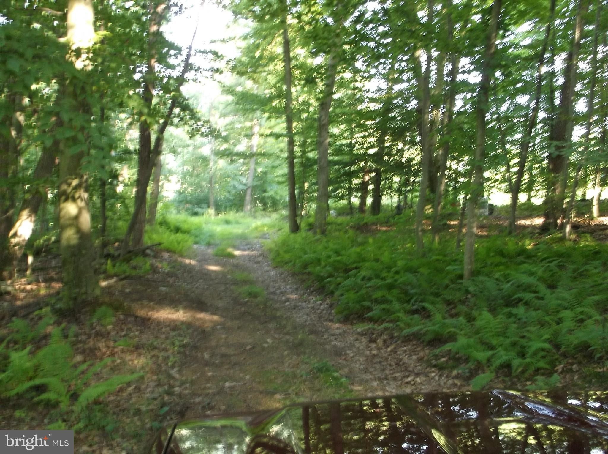 20 acres in Mifflin County, Pennsylvania