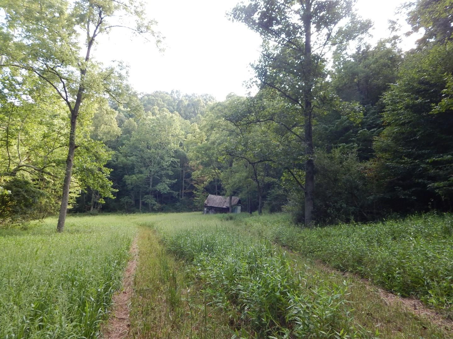 199 acres in Ritchie County, West Virginia