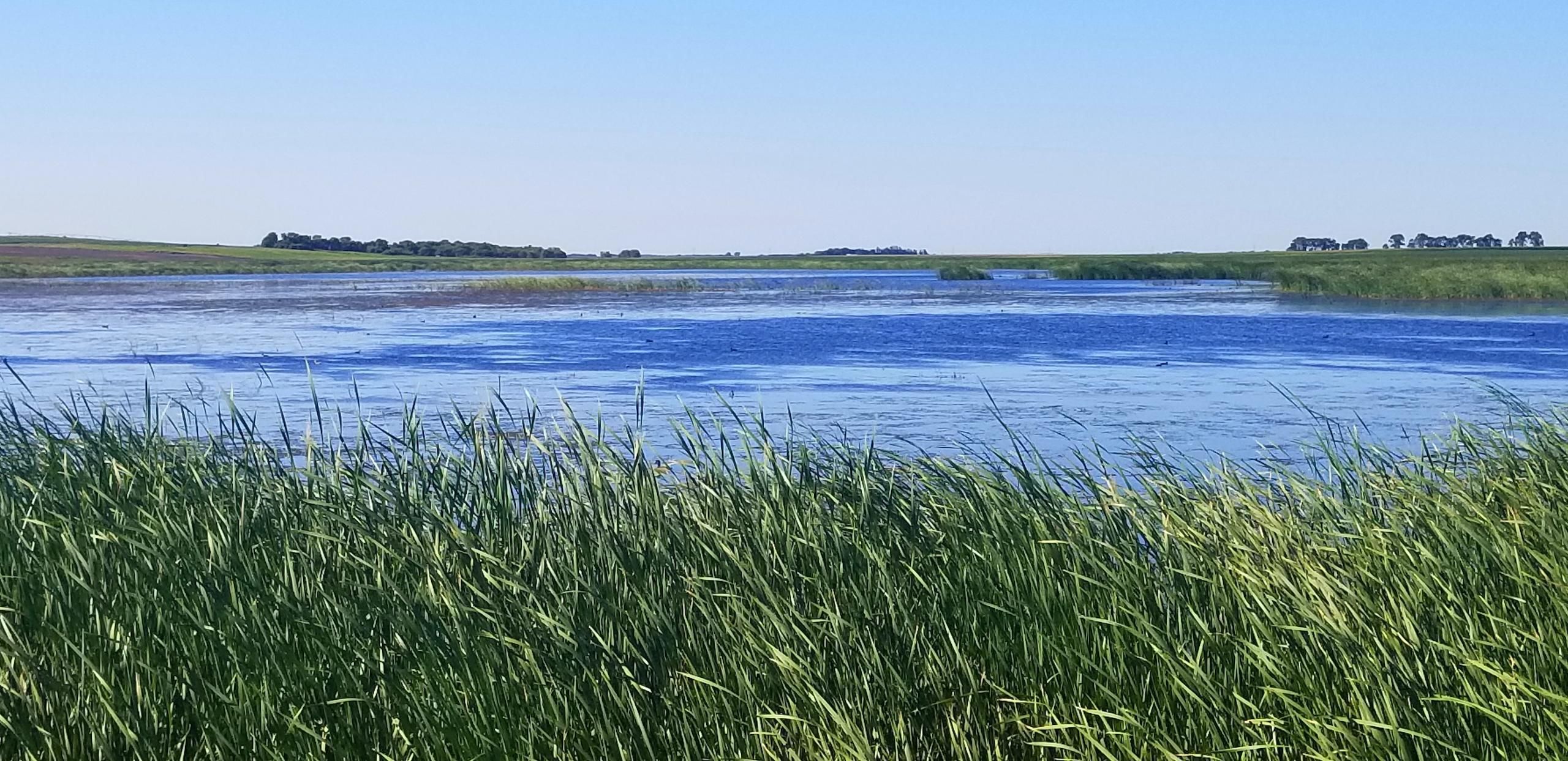 232 acres in Sargent County, North Dakota