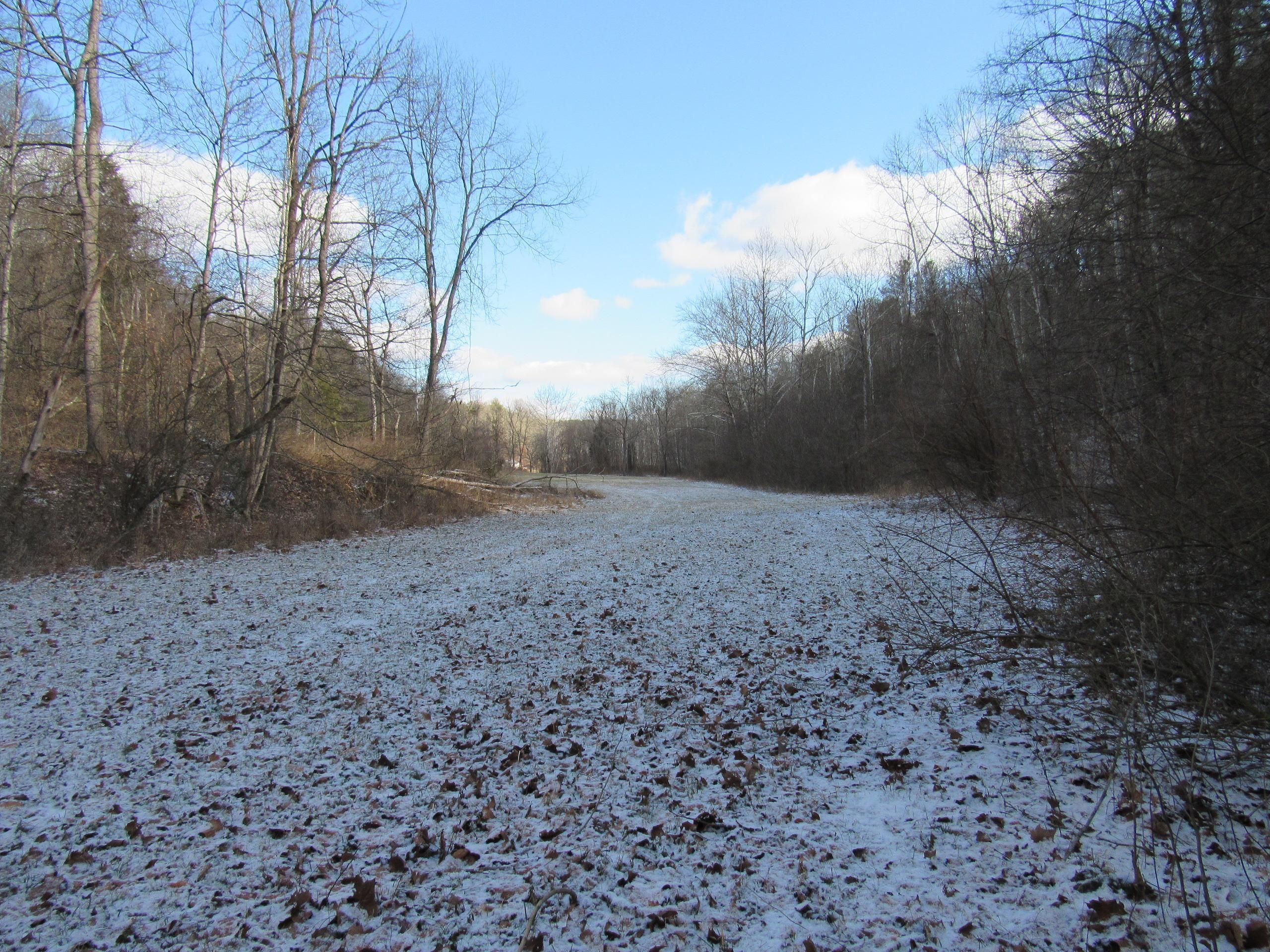 540 acres in Jackson County, West Virginia