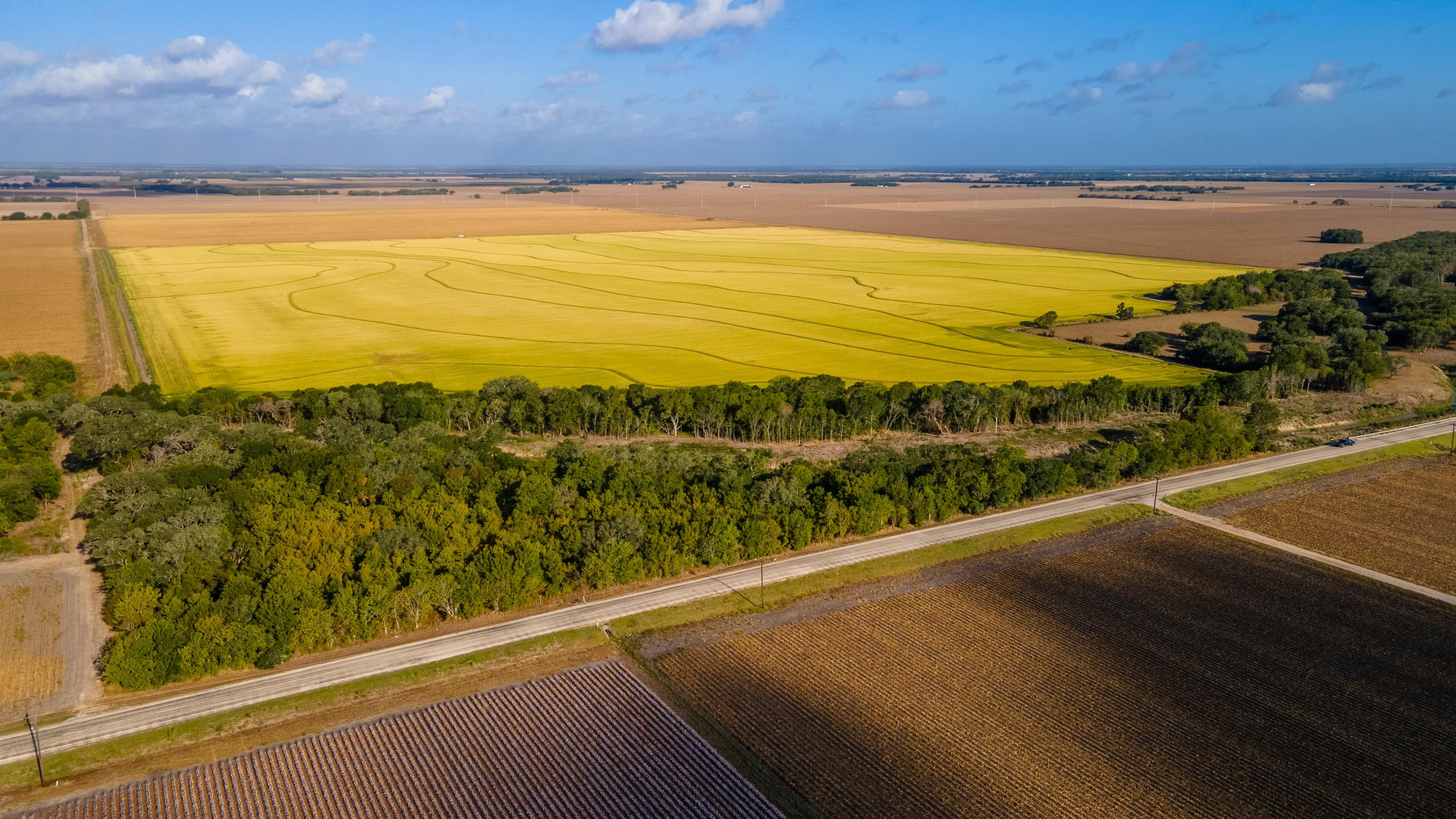 321.4 acres in Wharton County, Texas