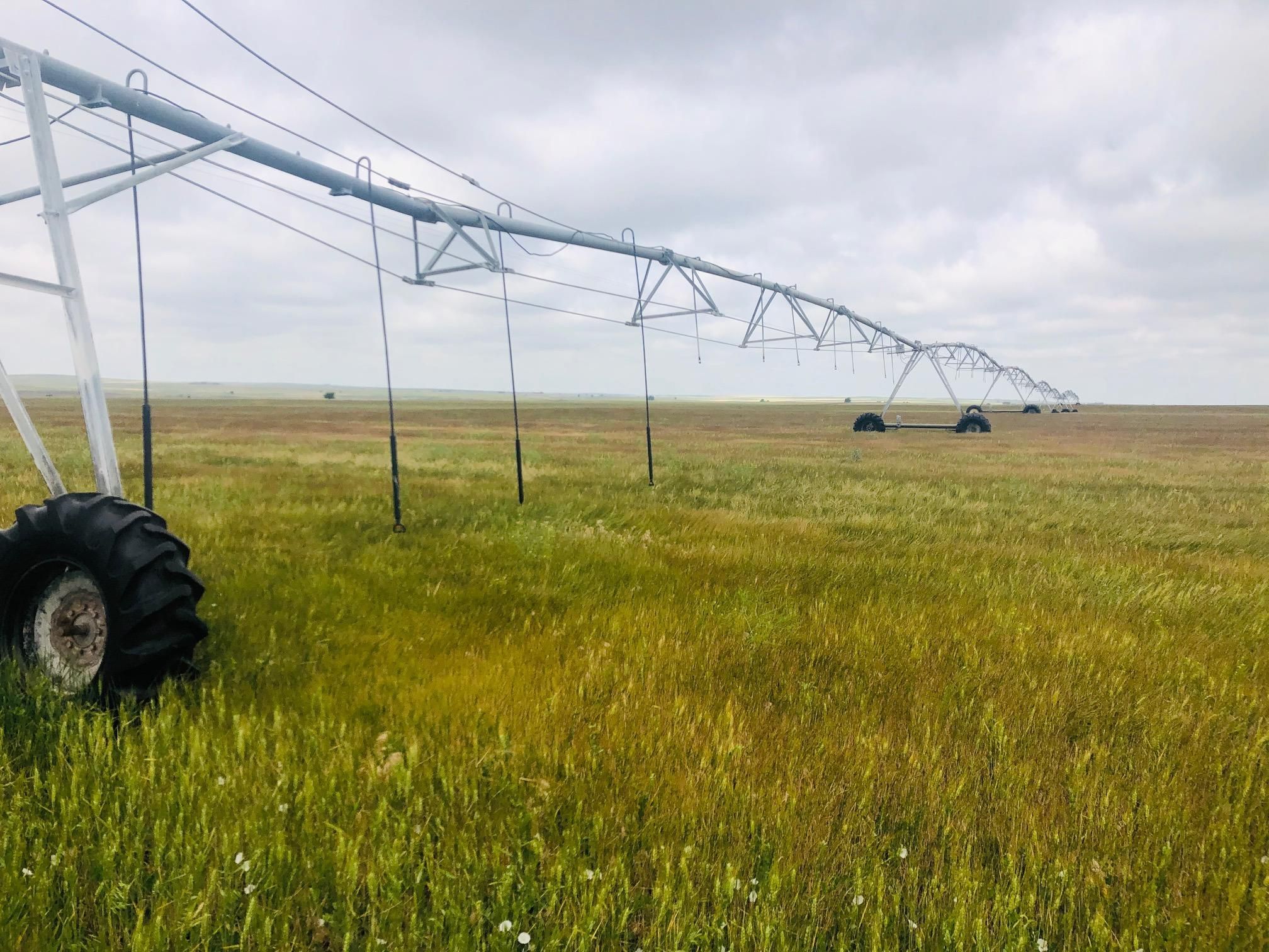 160 acres in Beaver County, Oklahoma