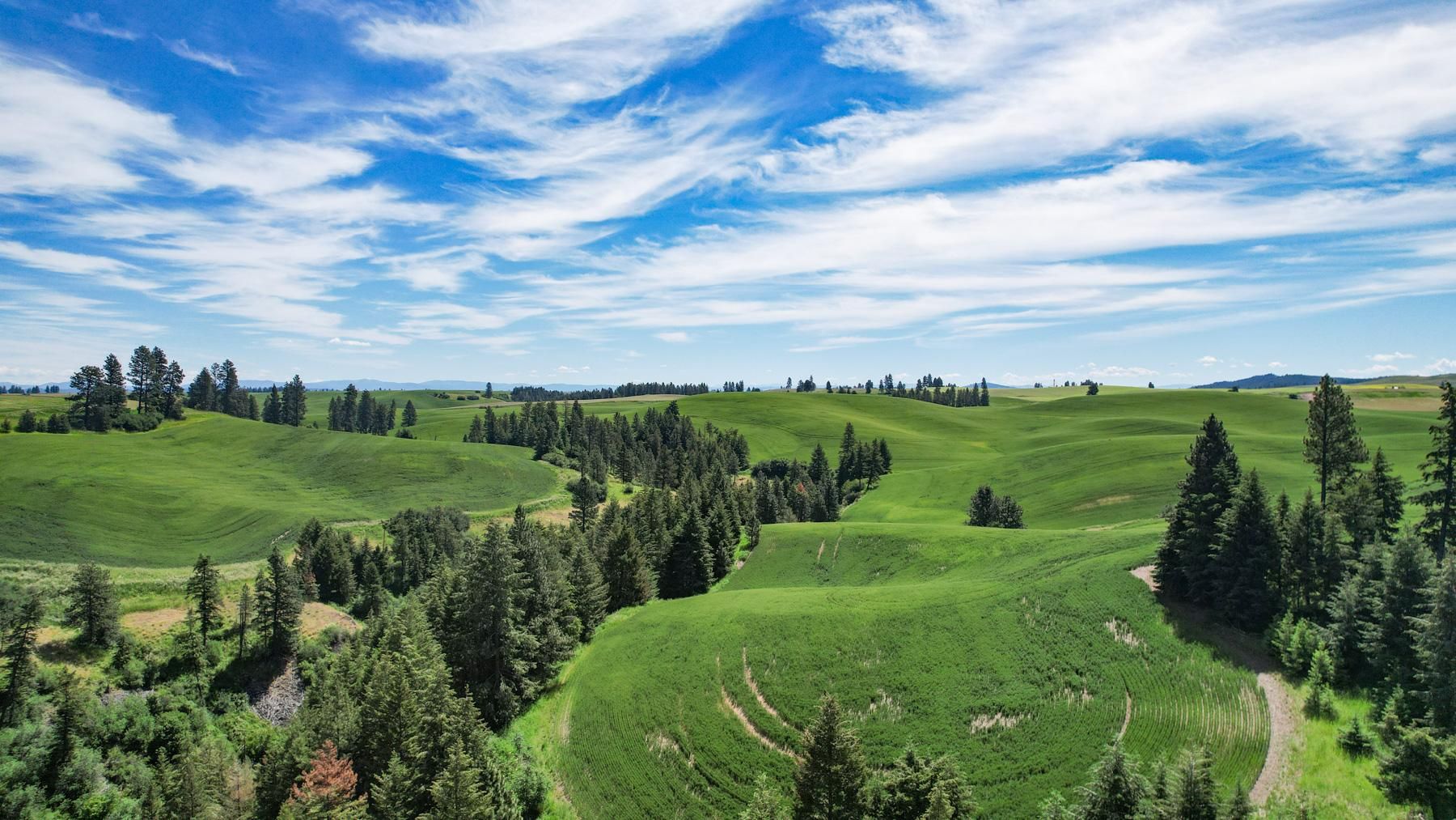 953 acres in Clearwater County, Idaho