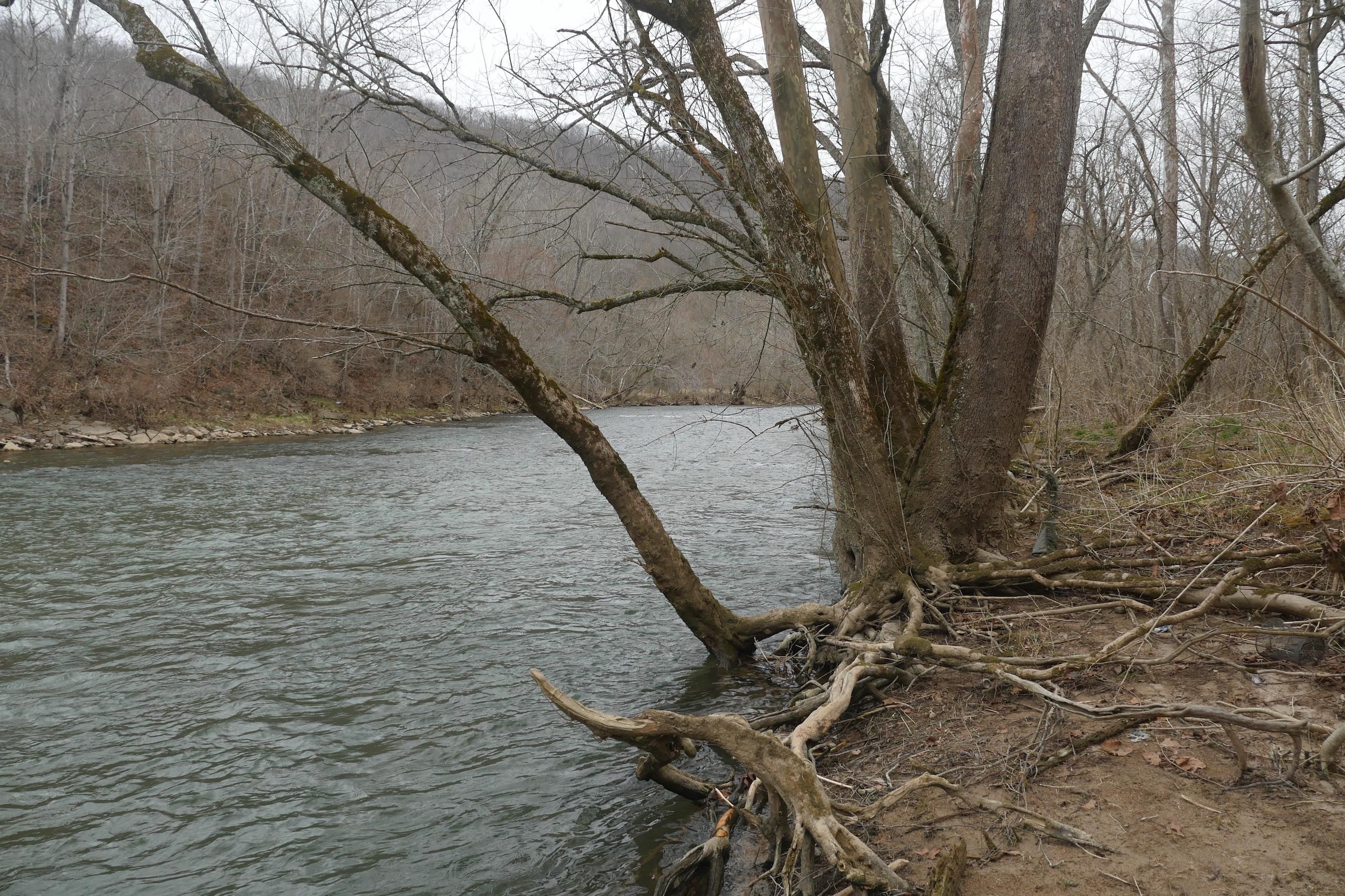 563 acres in Smyth County, Virginia