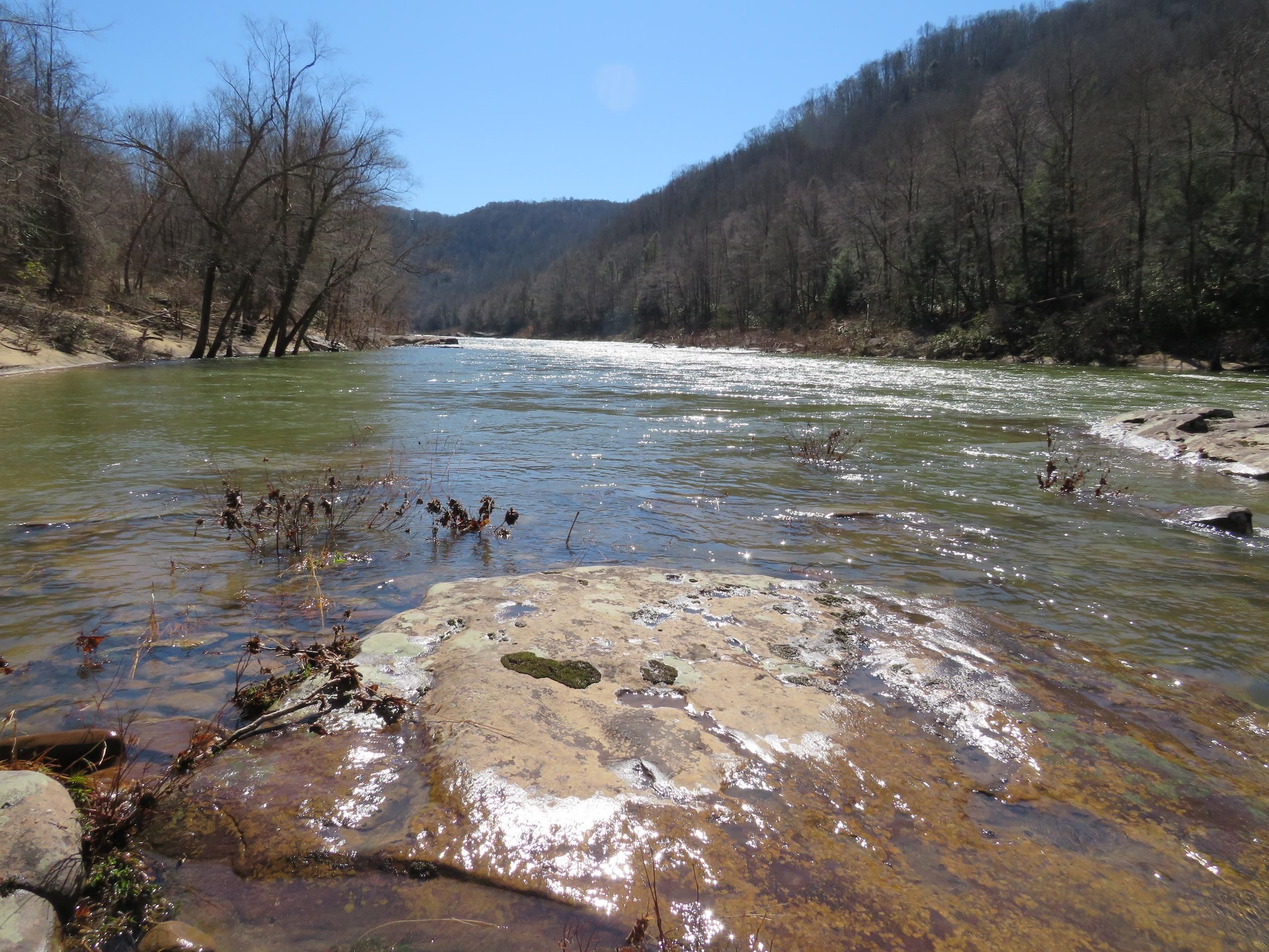 1,336 acres in Nicholas County, West Virginia