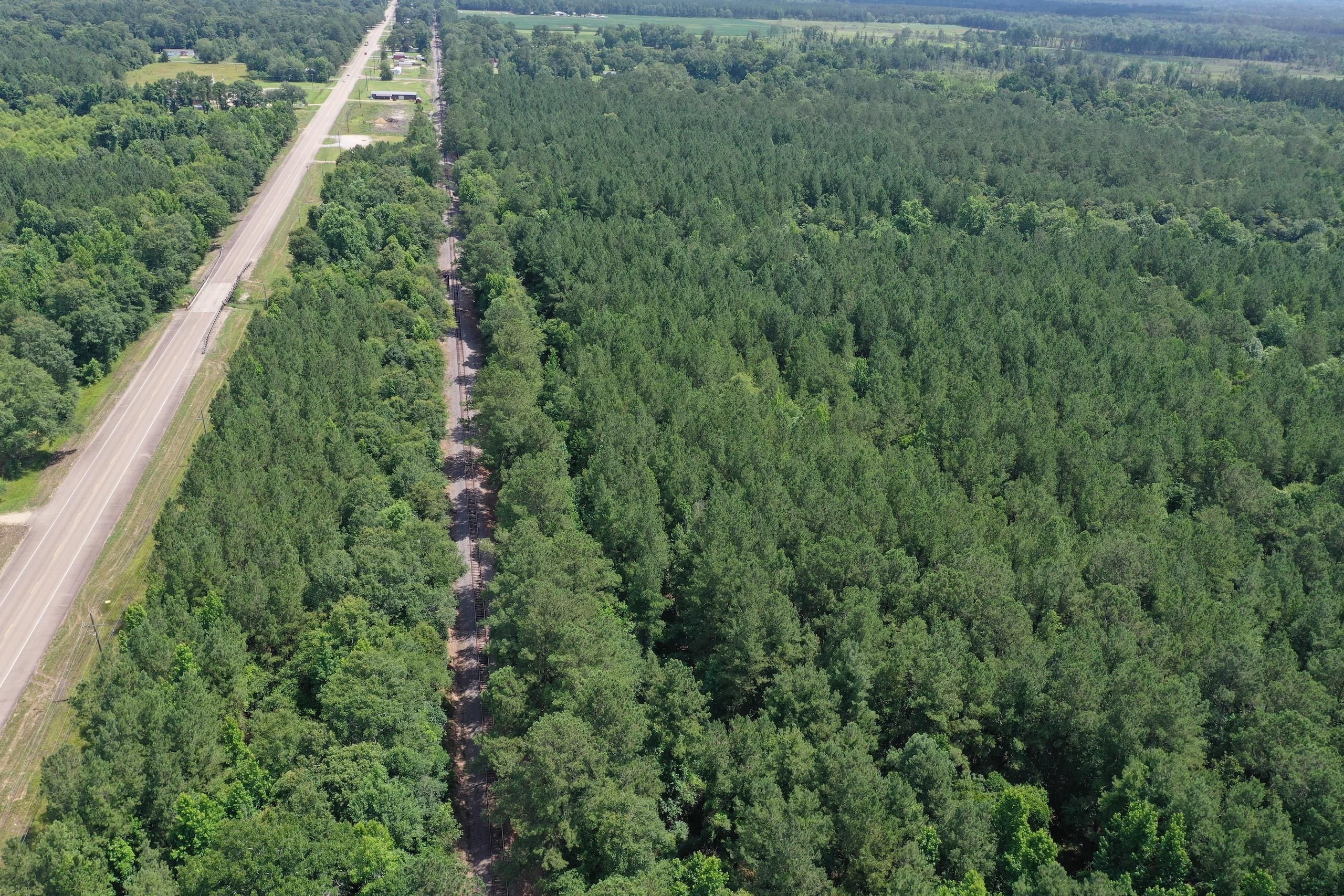 282 acres in Washington Parish, Louisiana