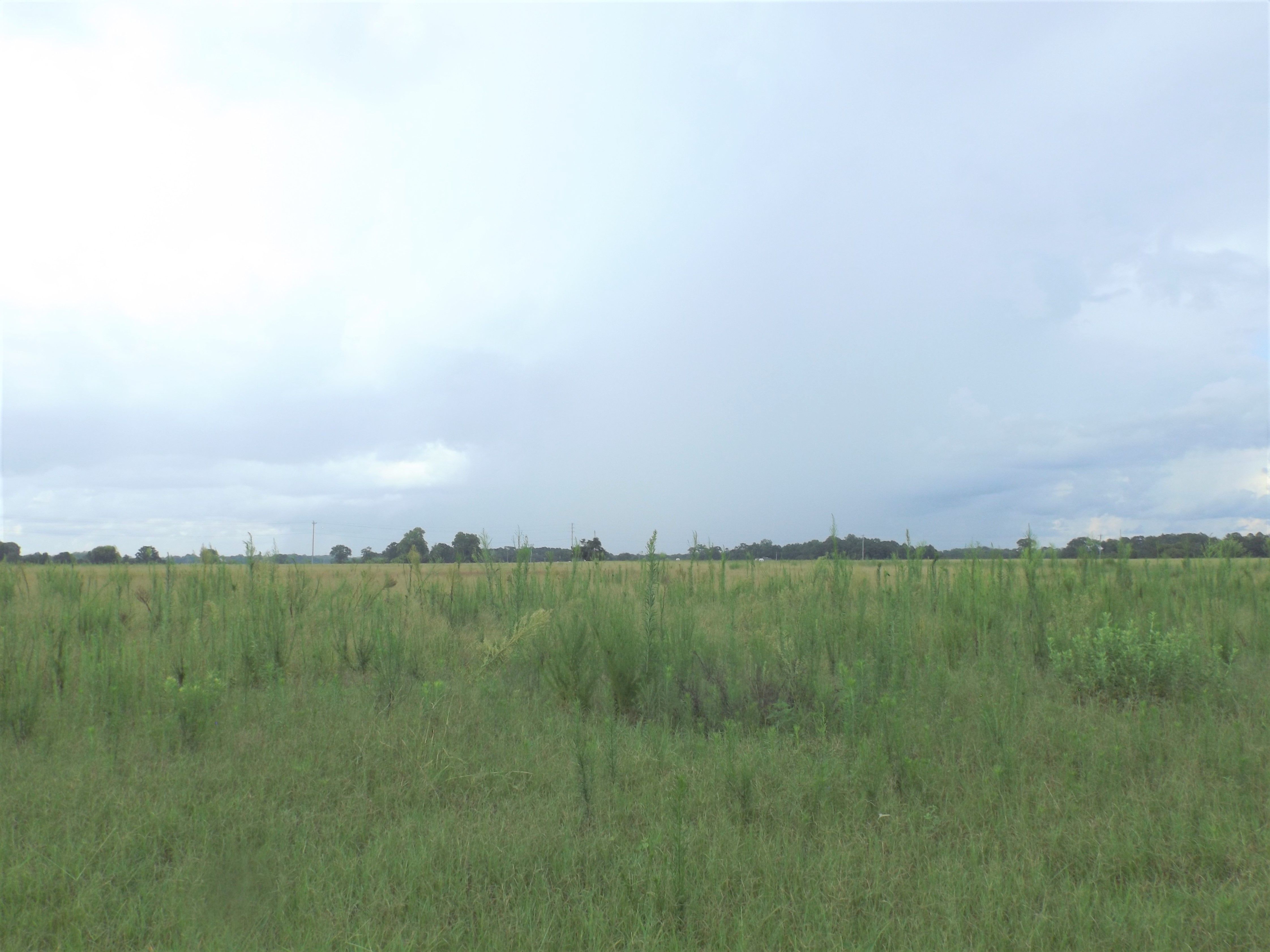 40 acres in Autauga County, Alabama