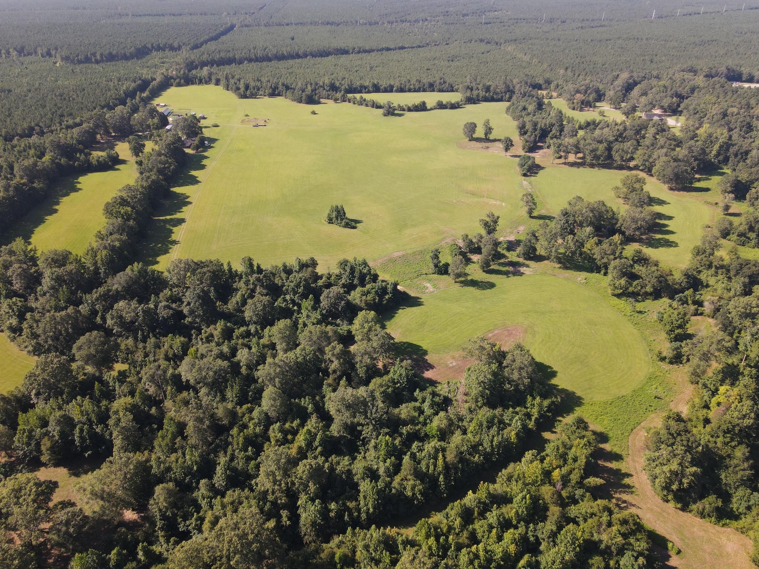 87 acres in Morehouse Parish, Louisiana