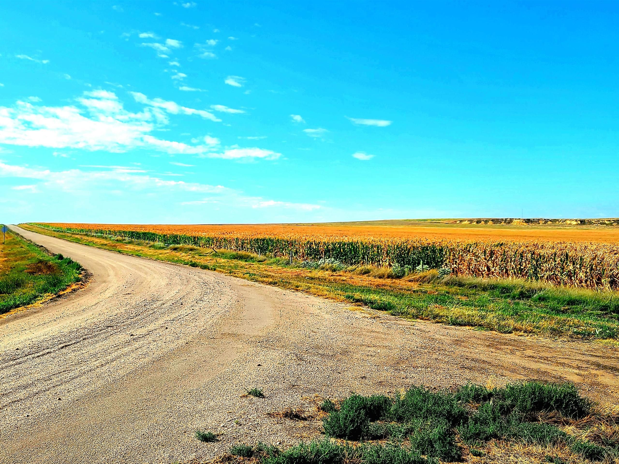 200 acres in Logan County, Kansas