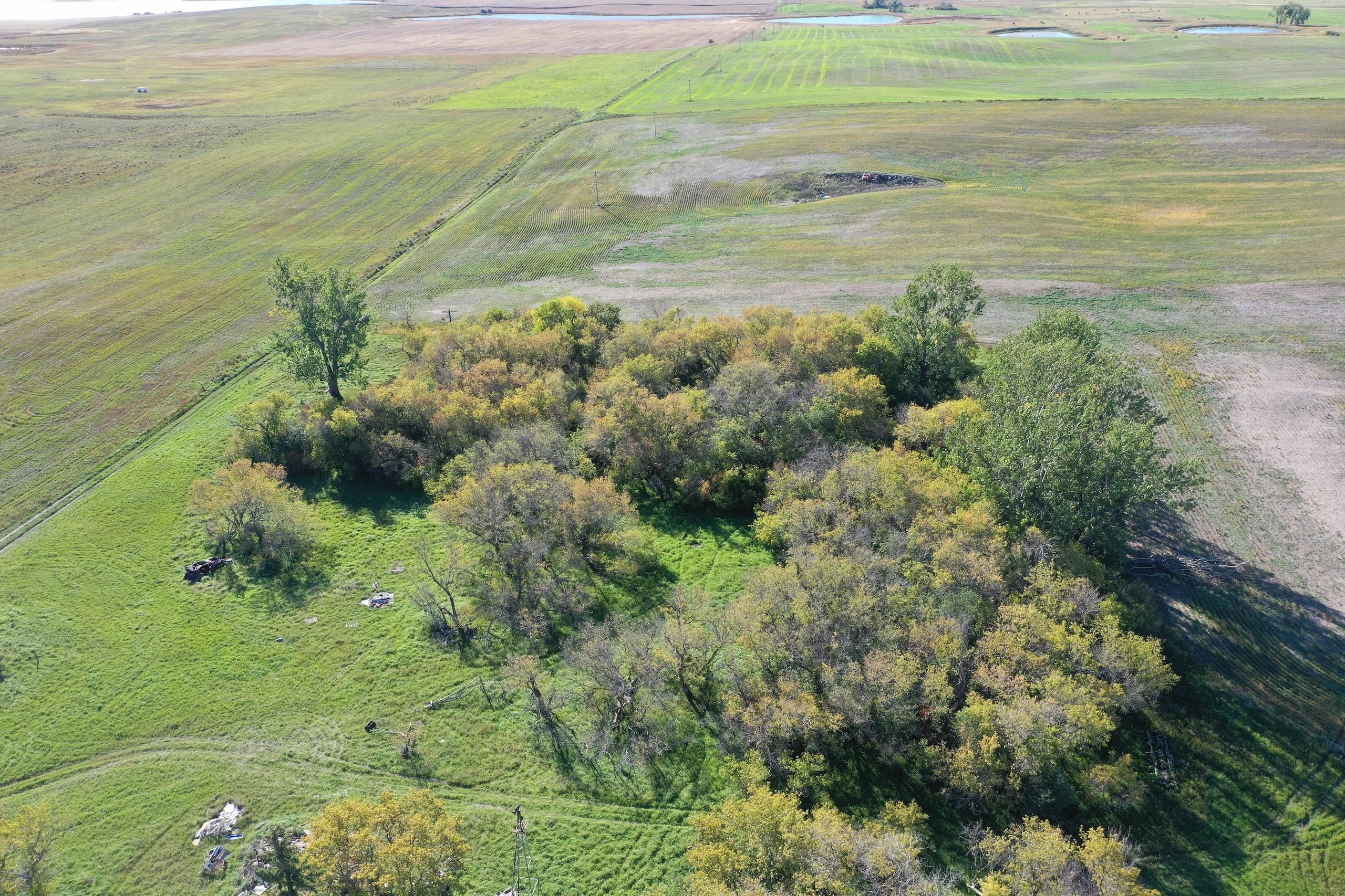 174 acres in Pierce County, North Dakota