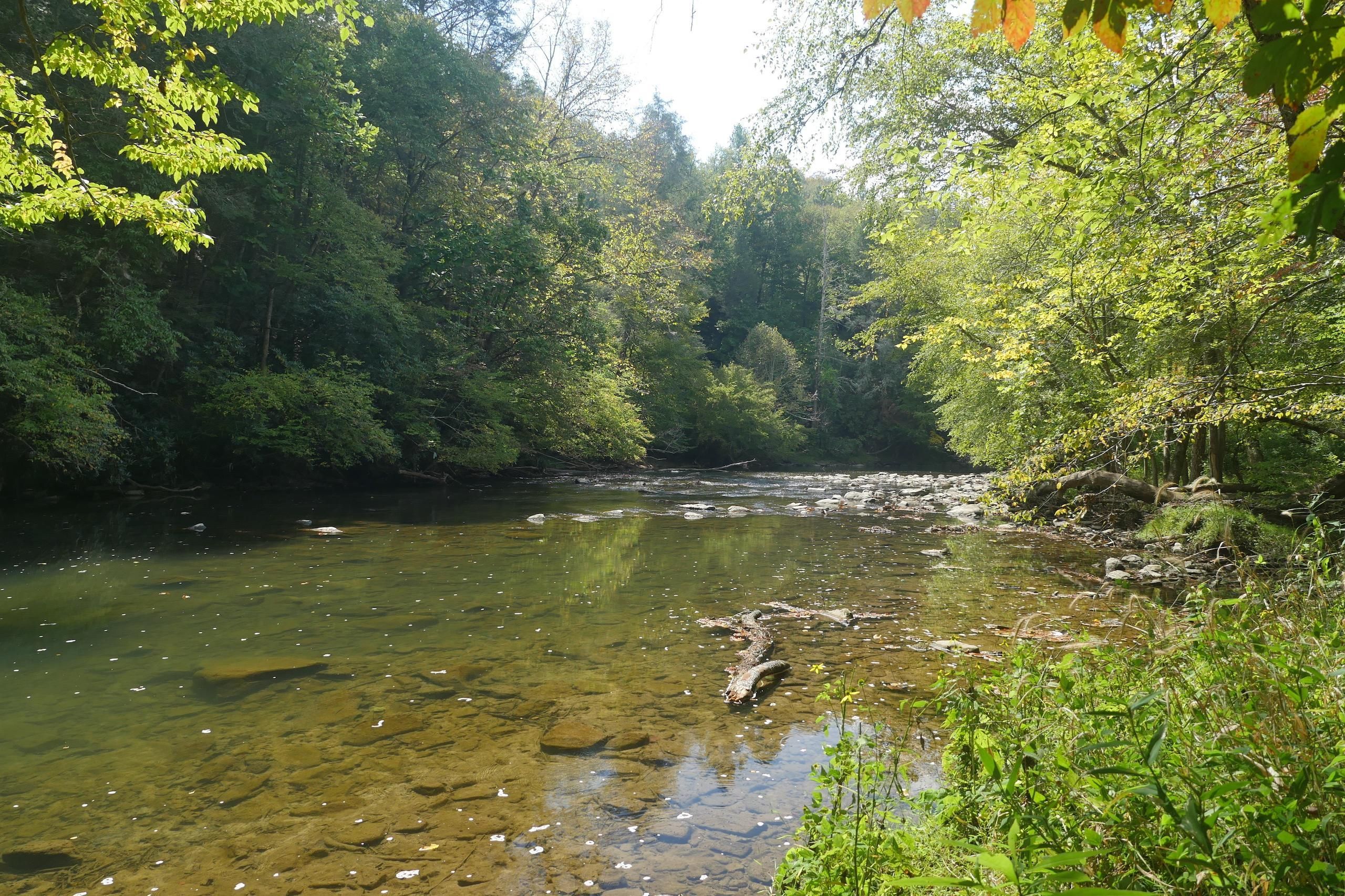 101 acres in Lee County, Virginia