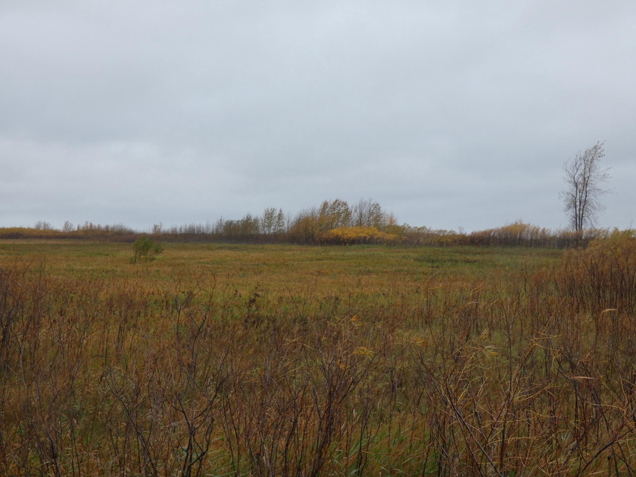 386 acres in Marshall County, Minnesota