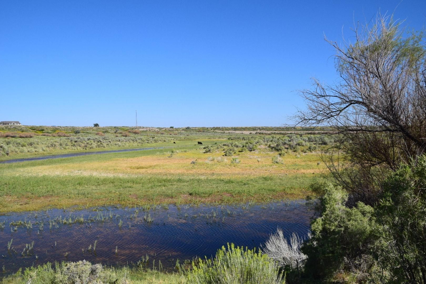 1,289.9 acres in Millard County, Utah