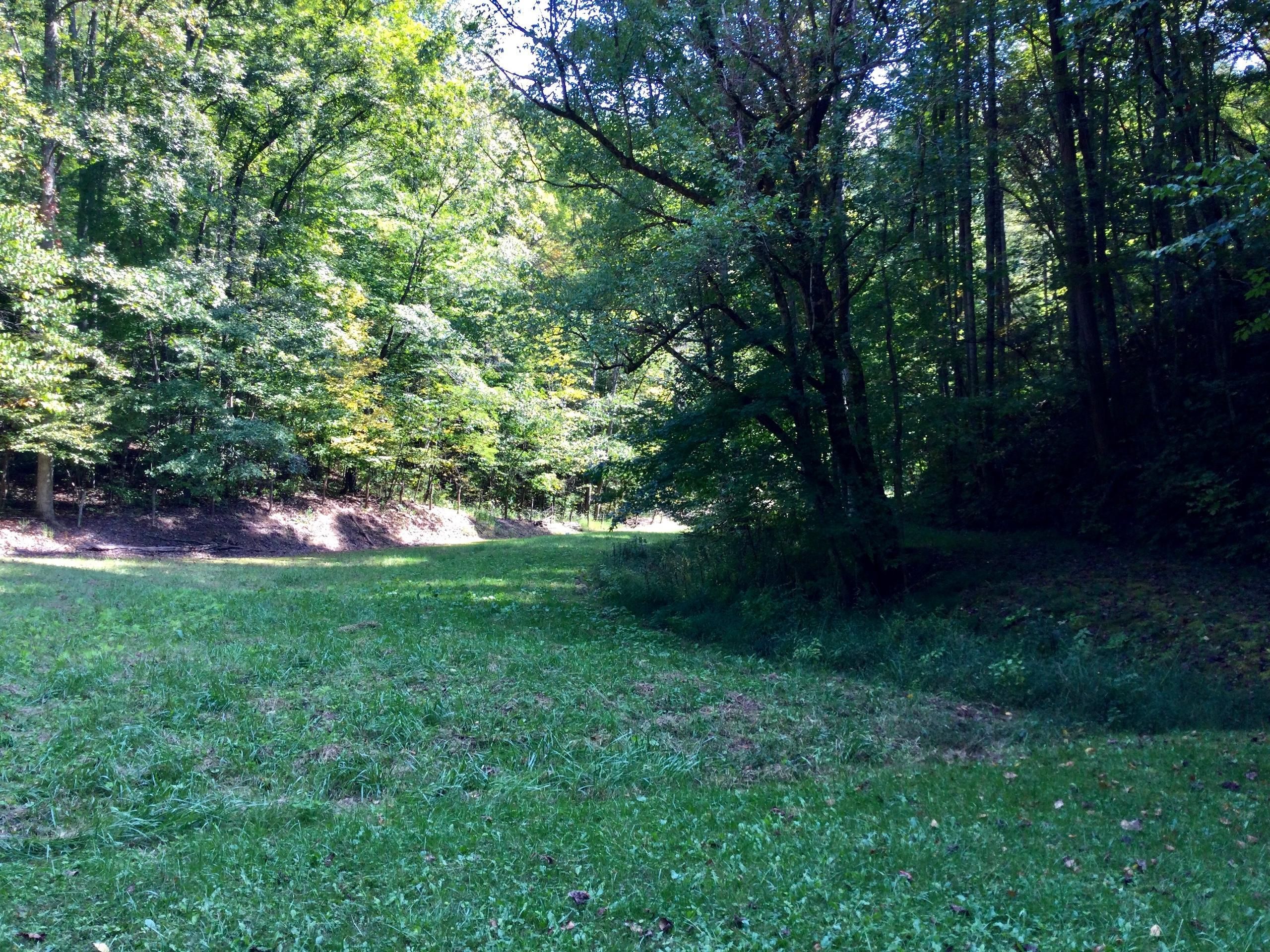 38.67 acres in Hawkins County, Tennessee