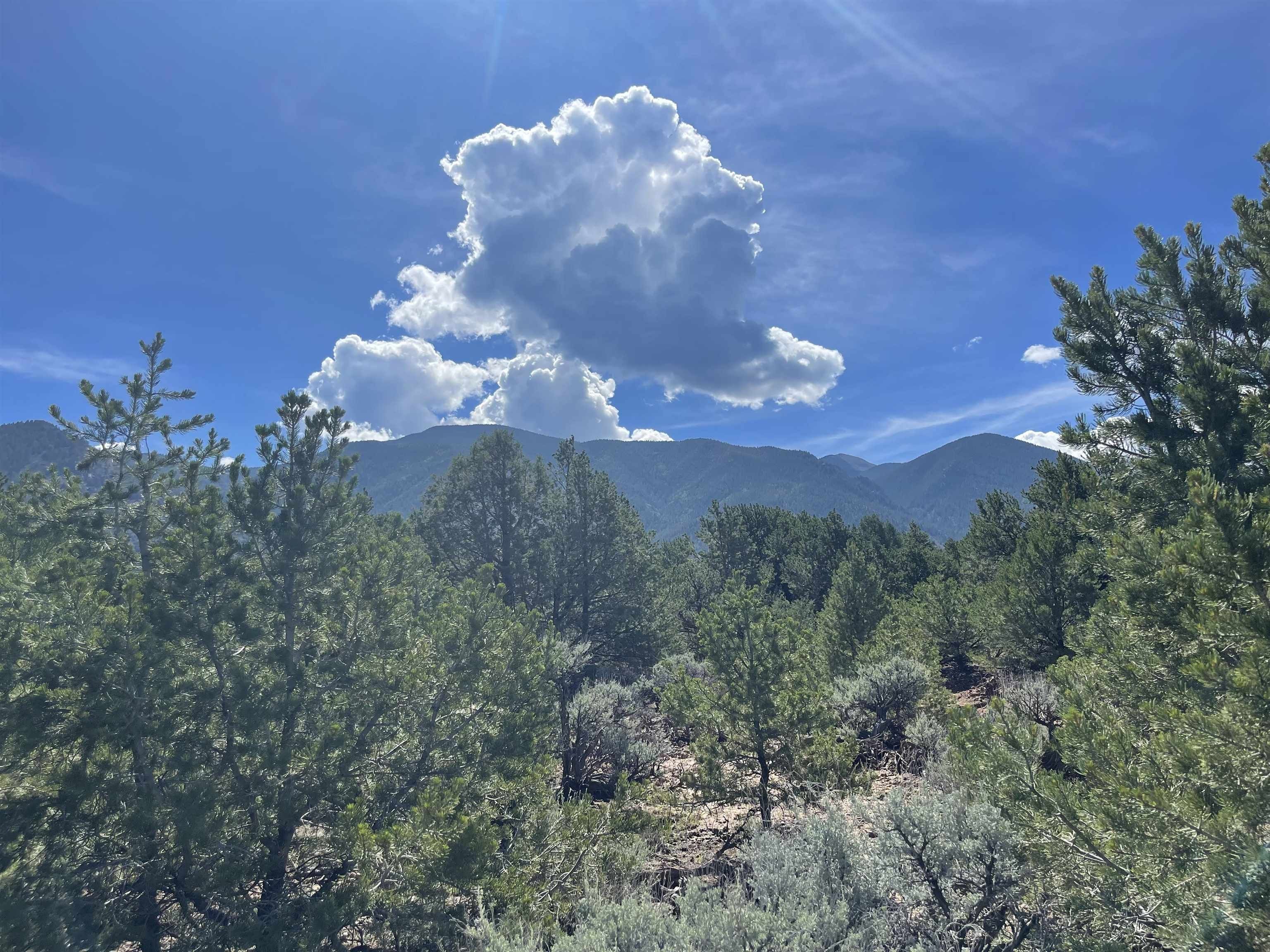 3 acres in Taos County, New Mexico