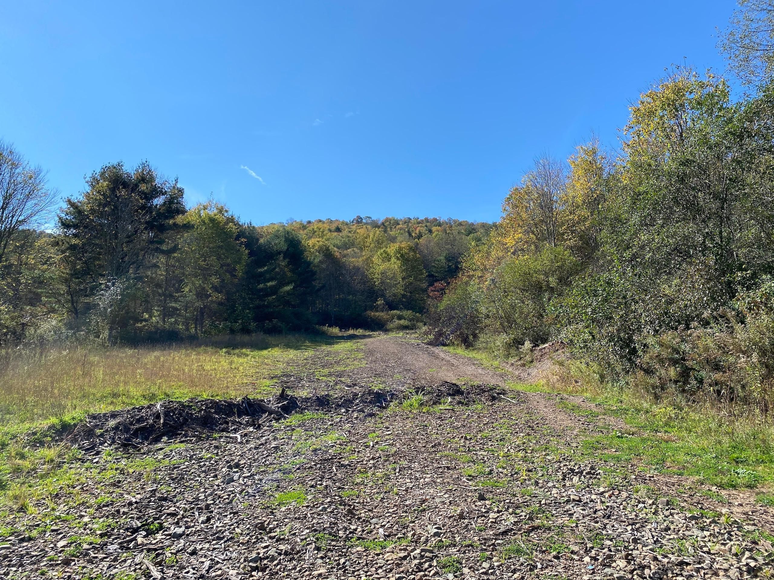 142 acres in McKean County, Pennsylvania