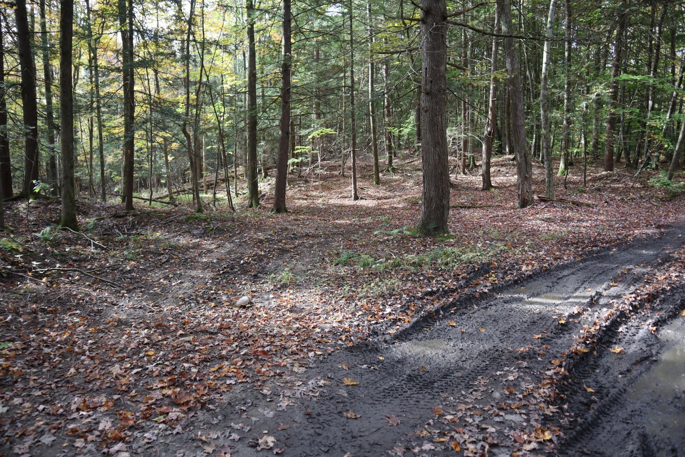 10.12 acres in Washington County, New York