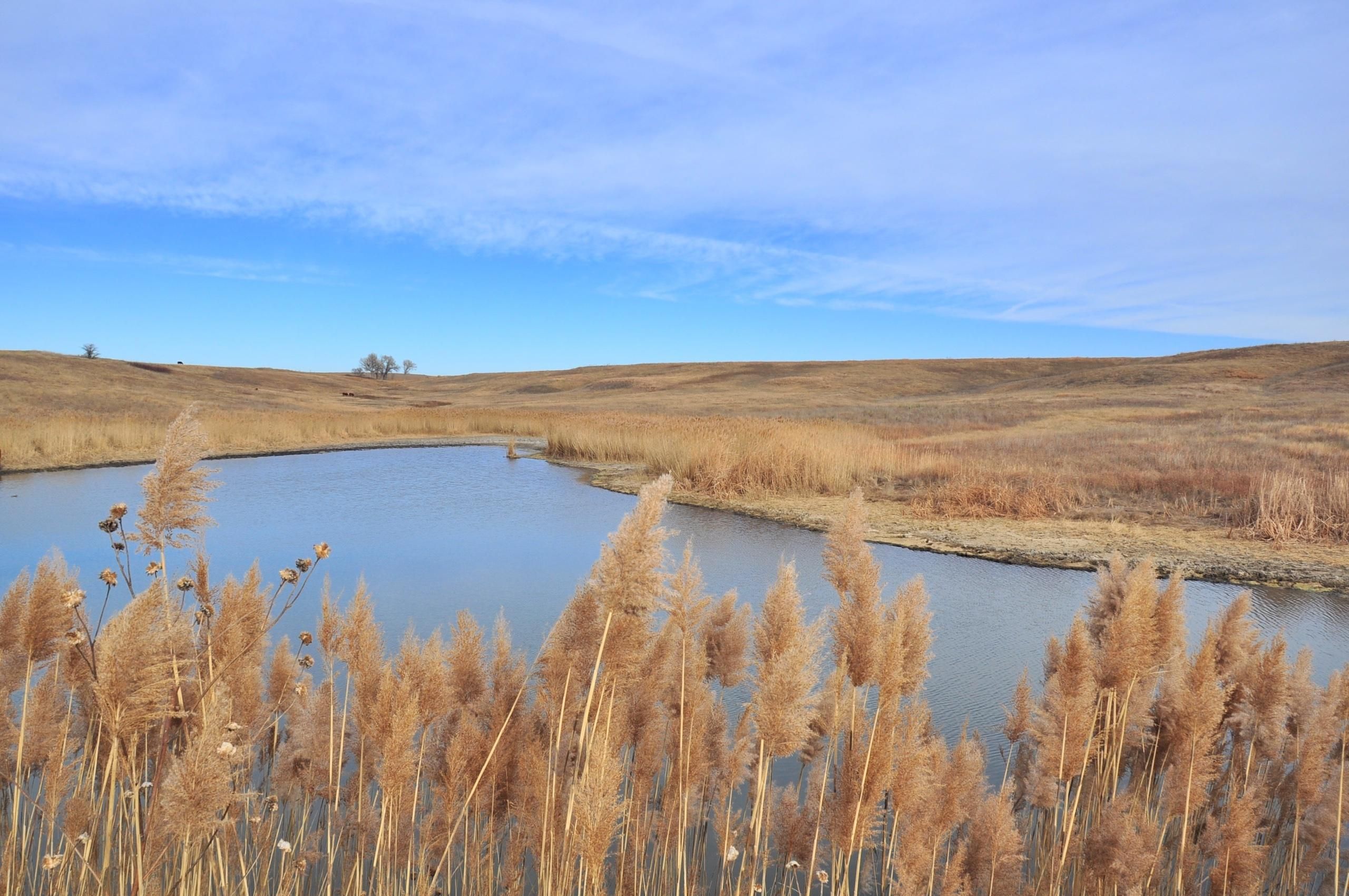 160 acres in Osborne County, Kansas