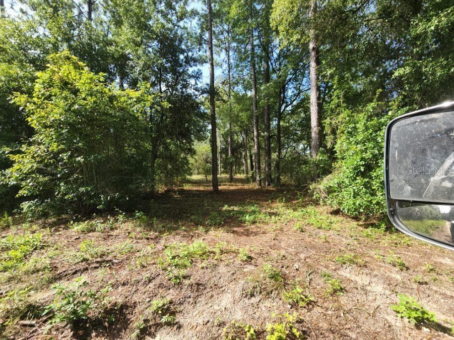 1.22 acres in Levy County, Florida