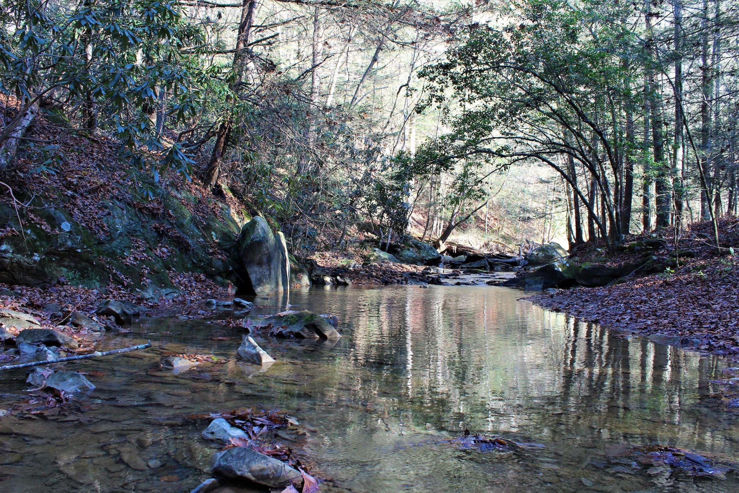 Saylor Branch Road Lot Wp001, Helton, KY 40840