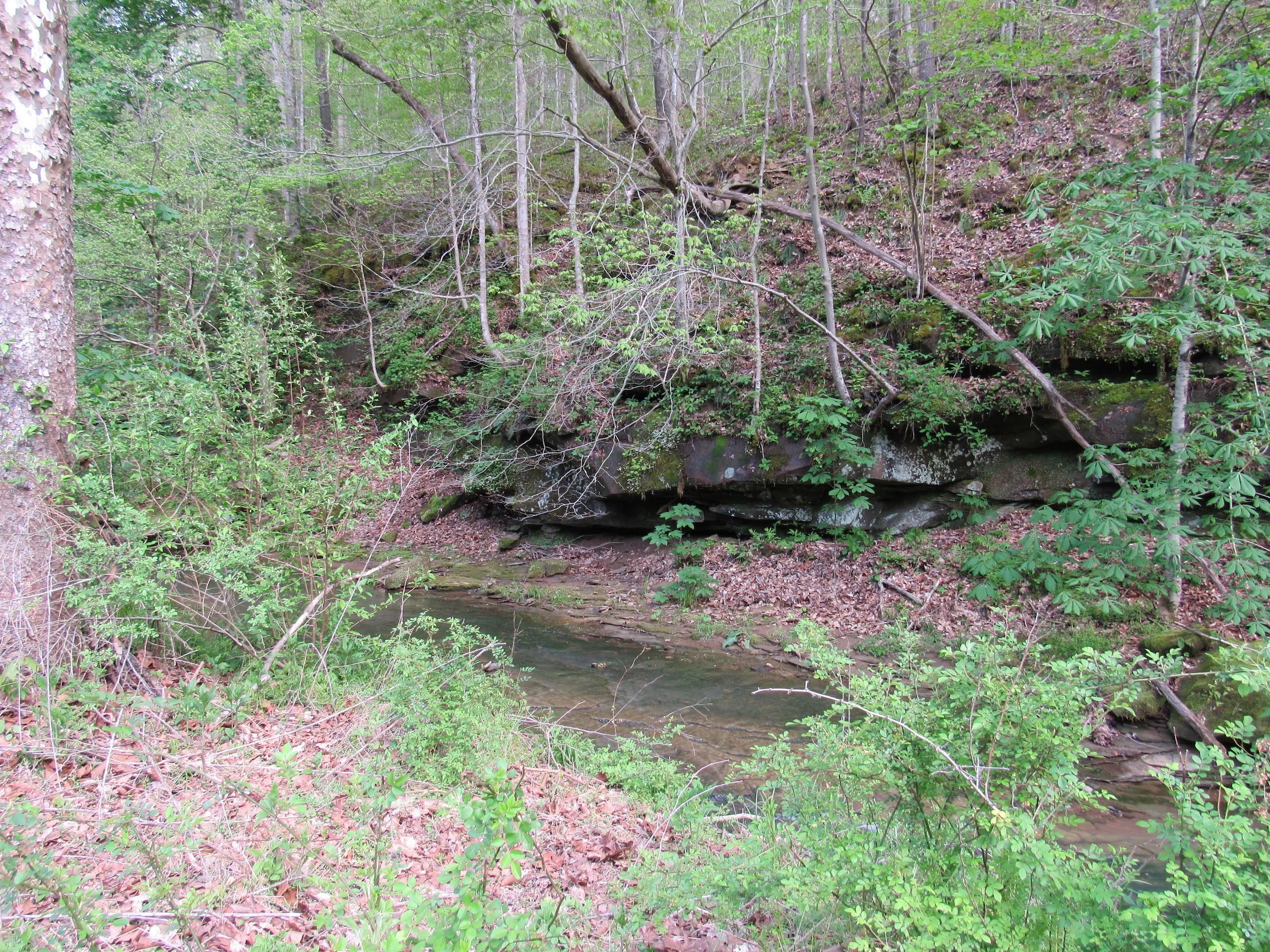 165.5 acres in Mason County, West Virginia