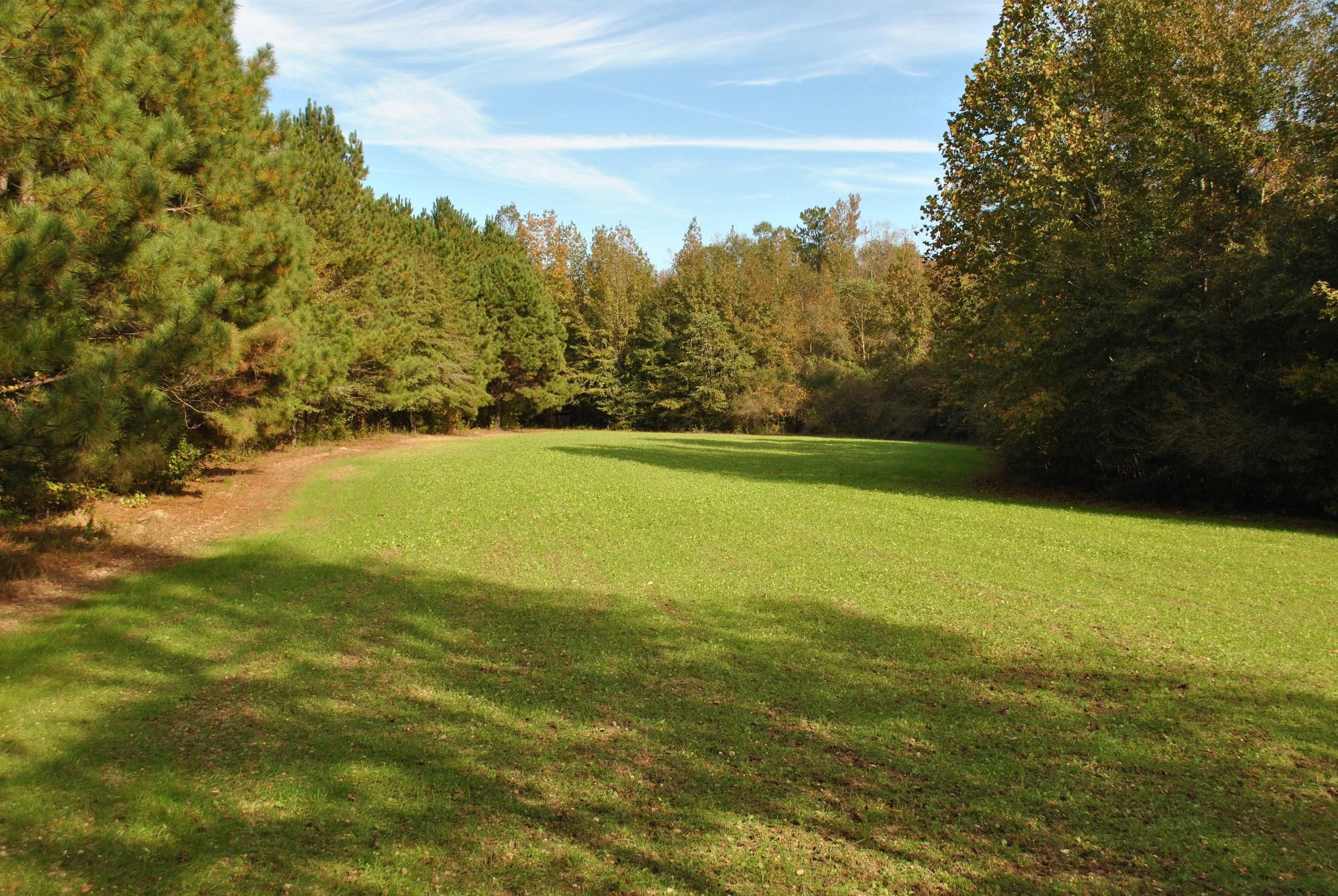 100 acres in Lamar County, Alabama