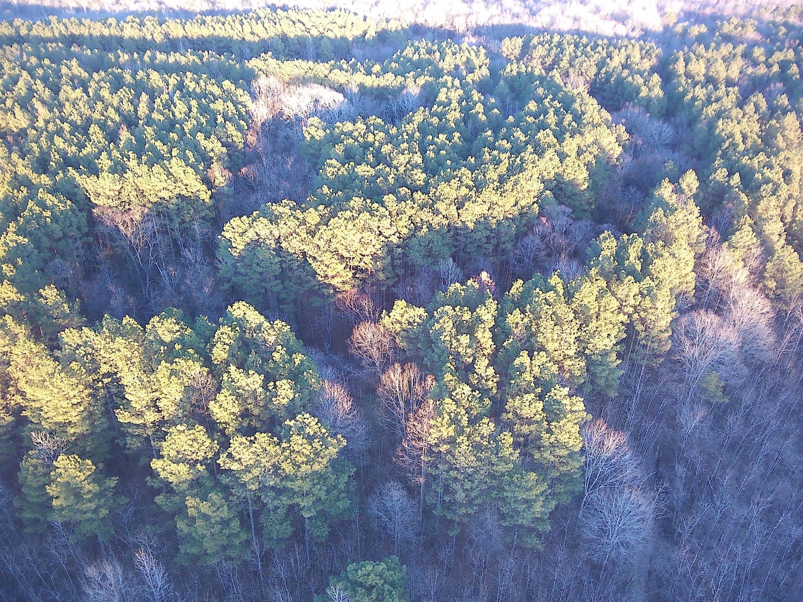 Hwy 67, Gurdon, AR 71743