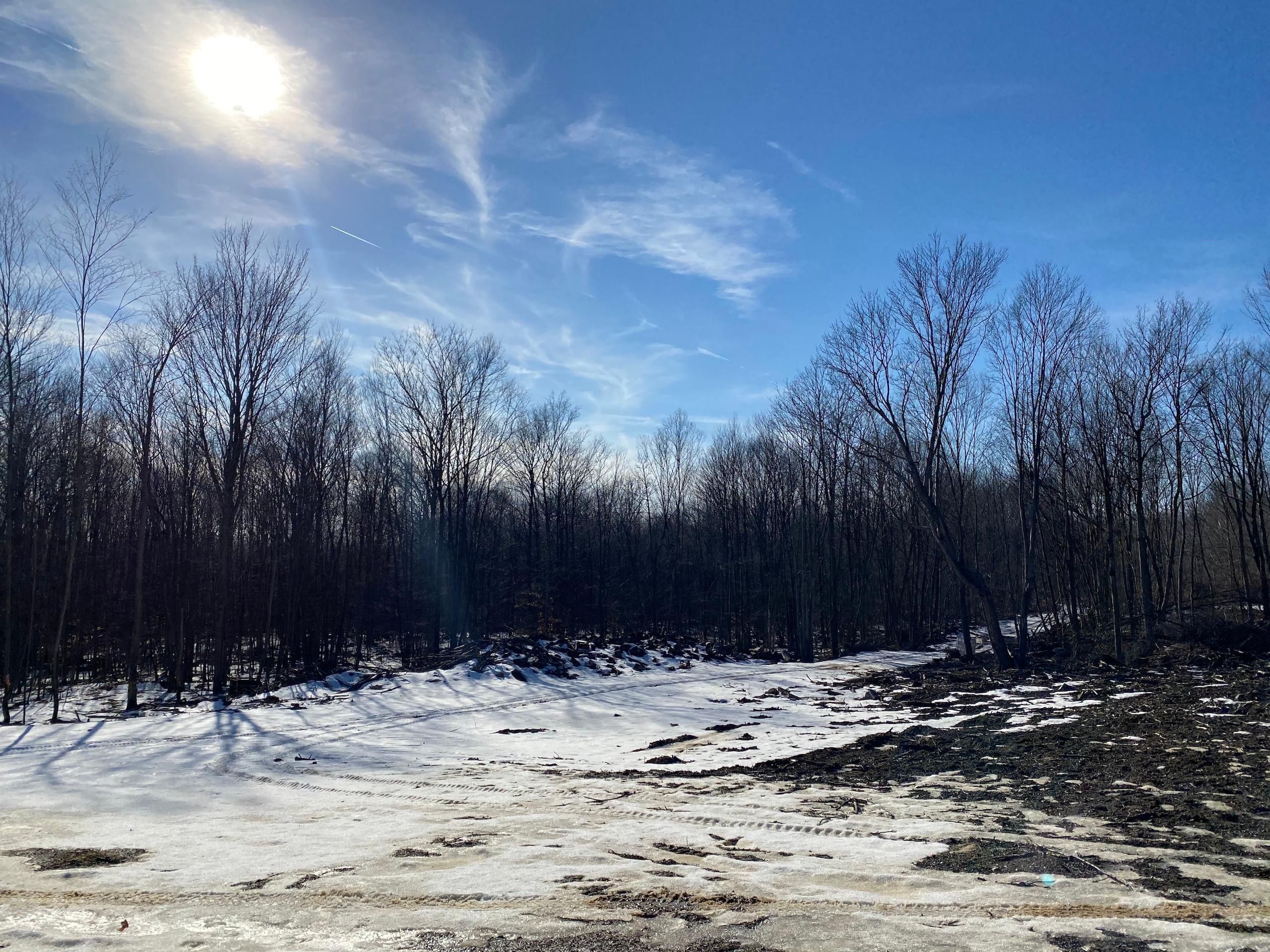 264 acres in Elk County, Pennsylvania