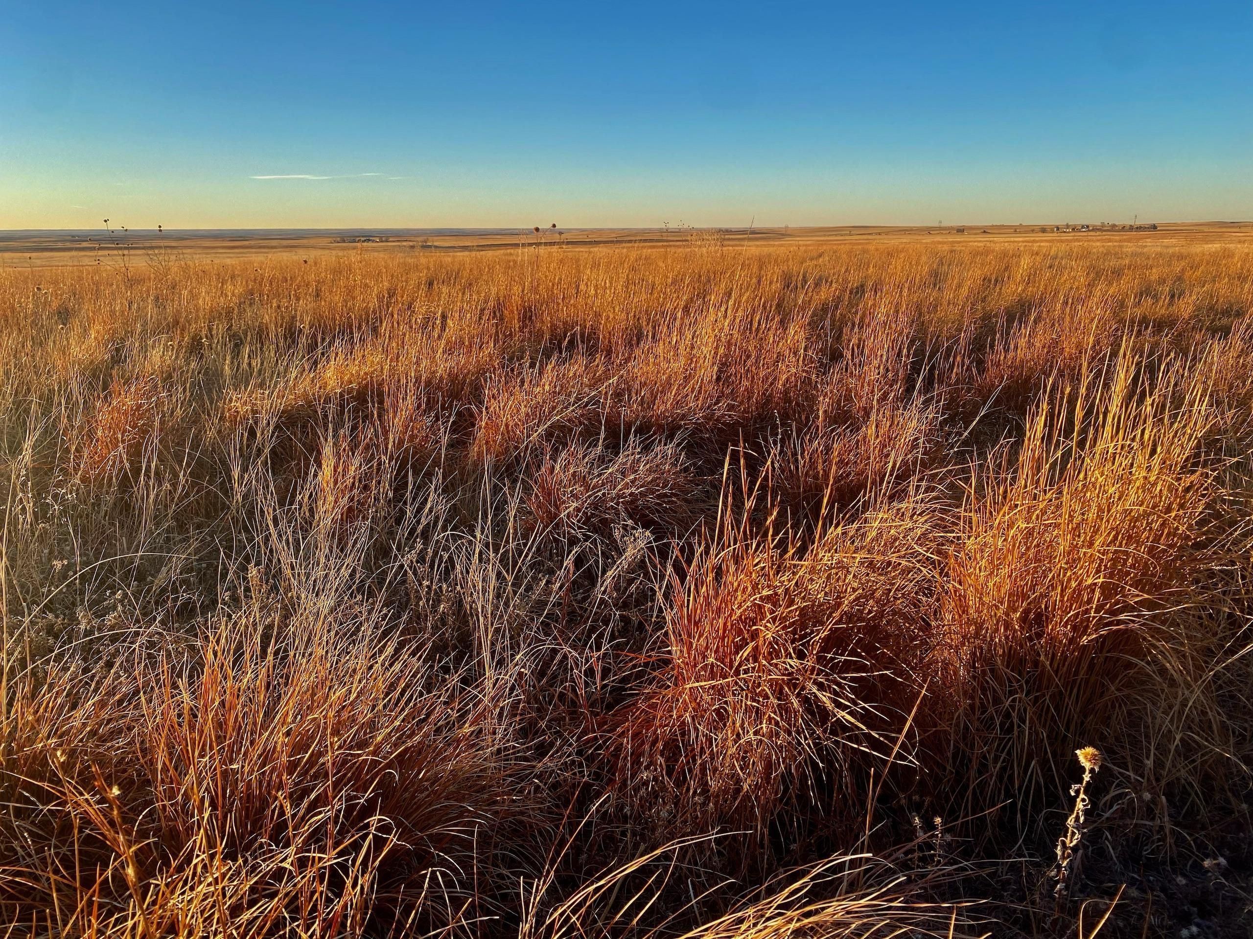 160 acres in Washington County, Colorado