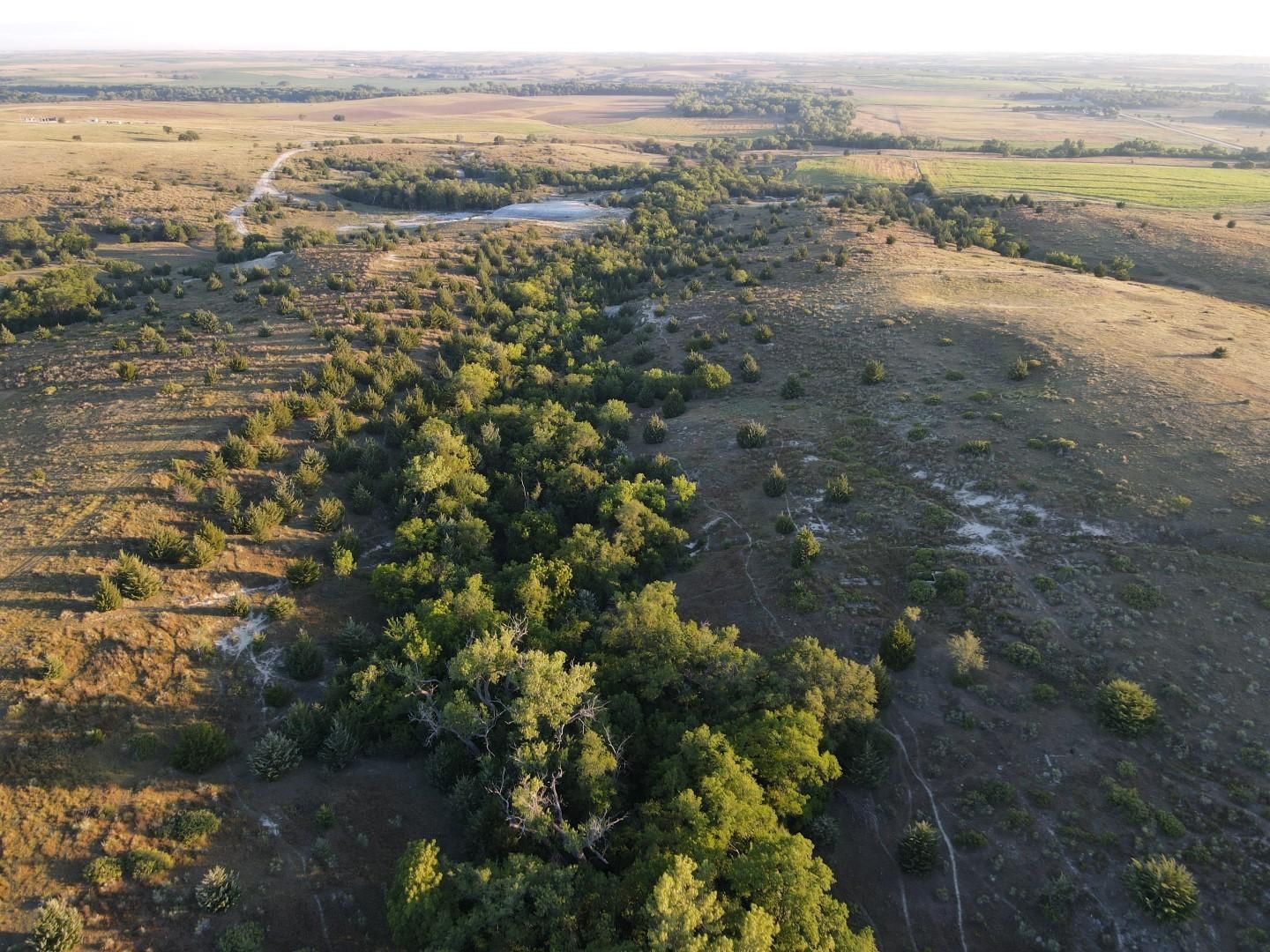 520 acres in Norton County, Kansas