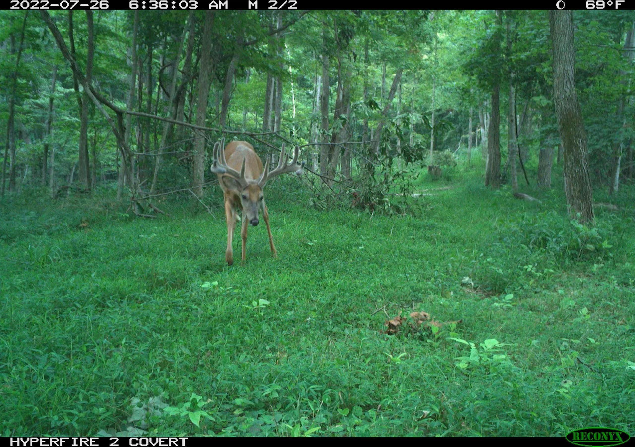 77 acres in Meigs County, Ohio