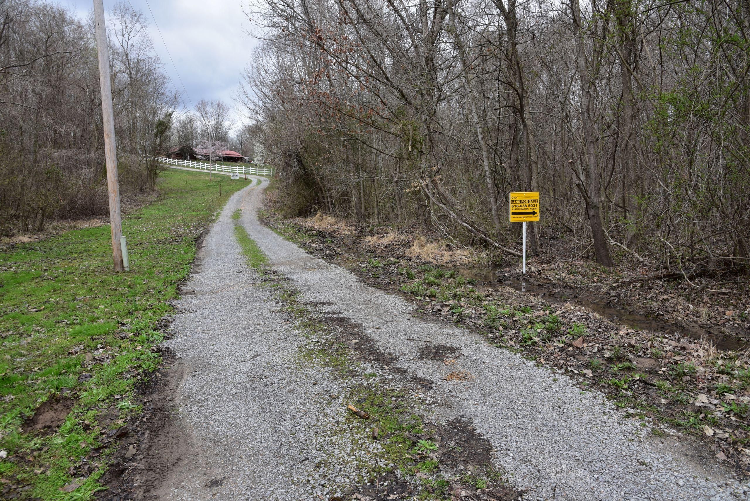 33.06 acres in Alexander County, Illinois