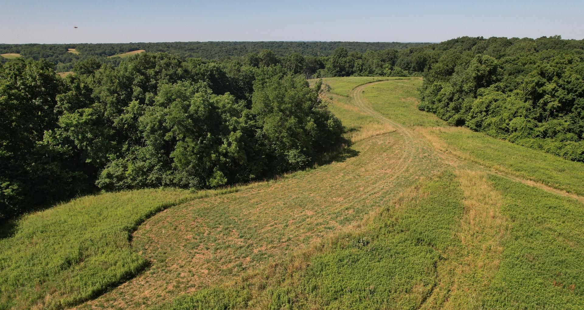 148 acres in Calhoun County, Illinois