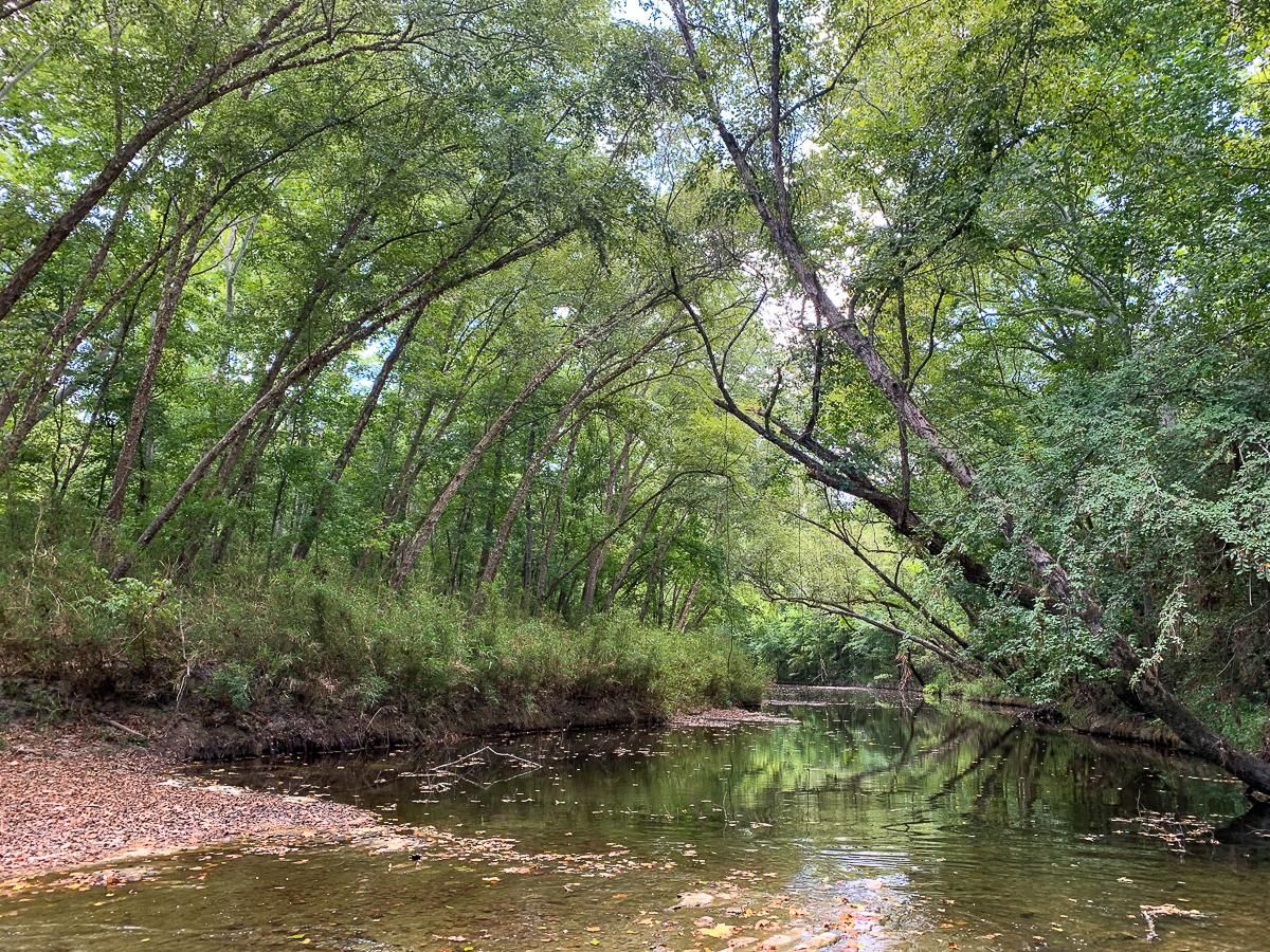 588 acres in Walker County, Texas