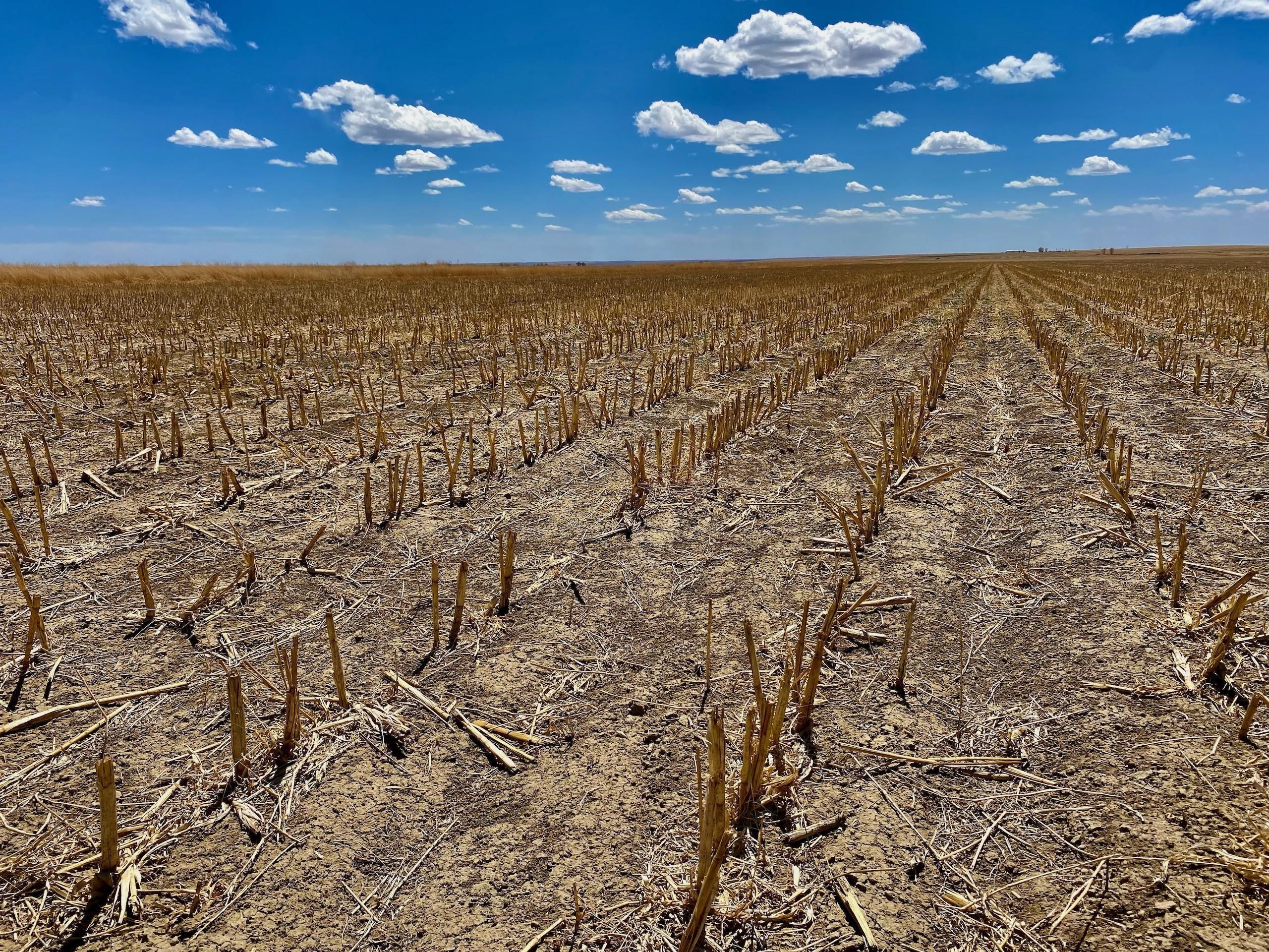 313 acres in Prowers County, Colorado