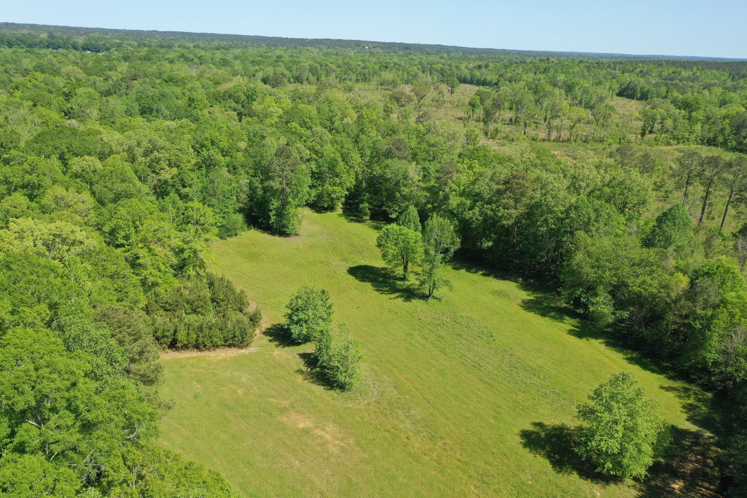 183.5 acres in Copiah County, Mississippi