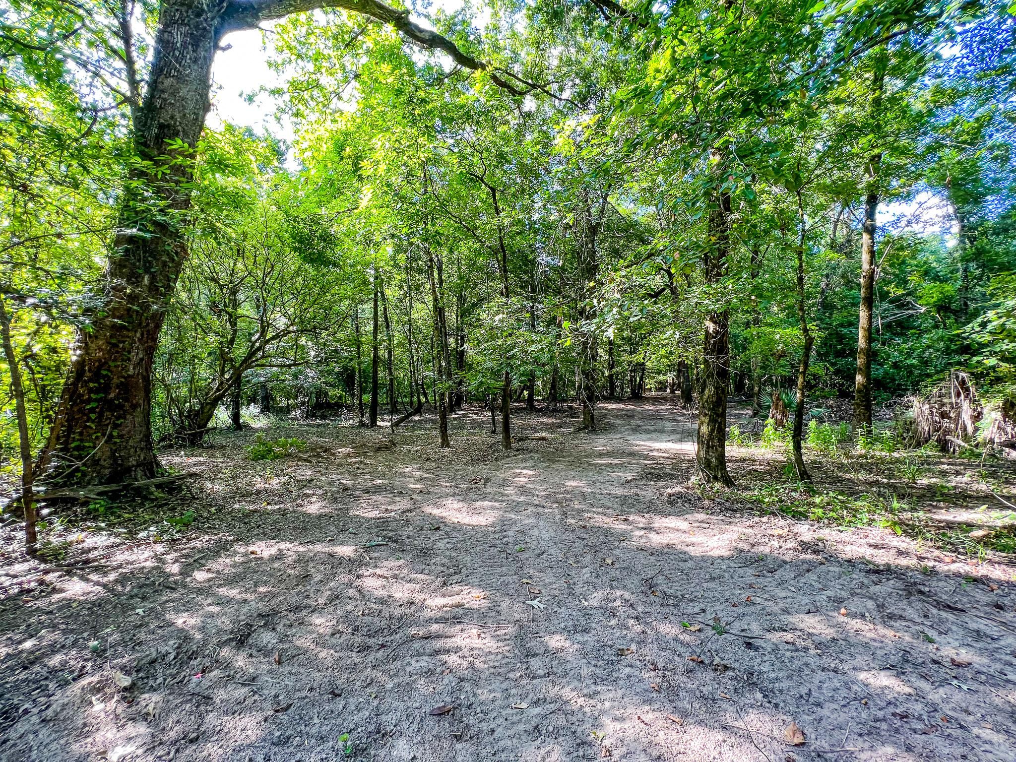 FM1987, Corrigan, TX 75939