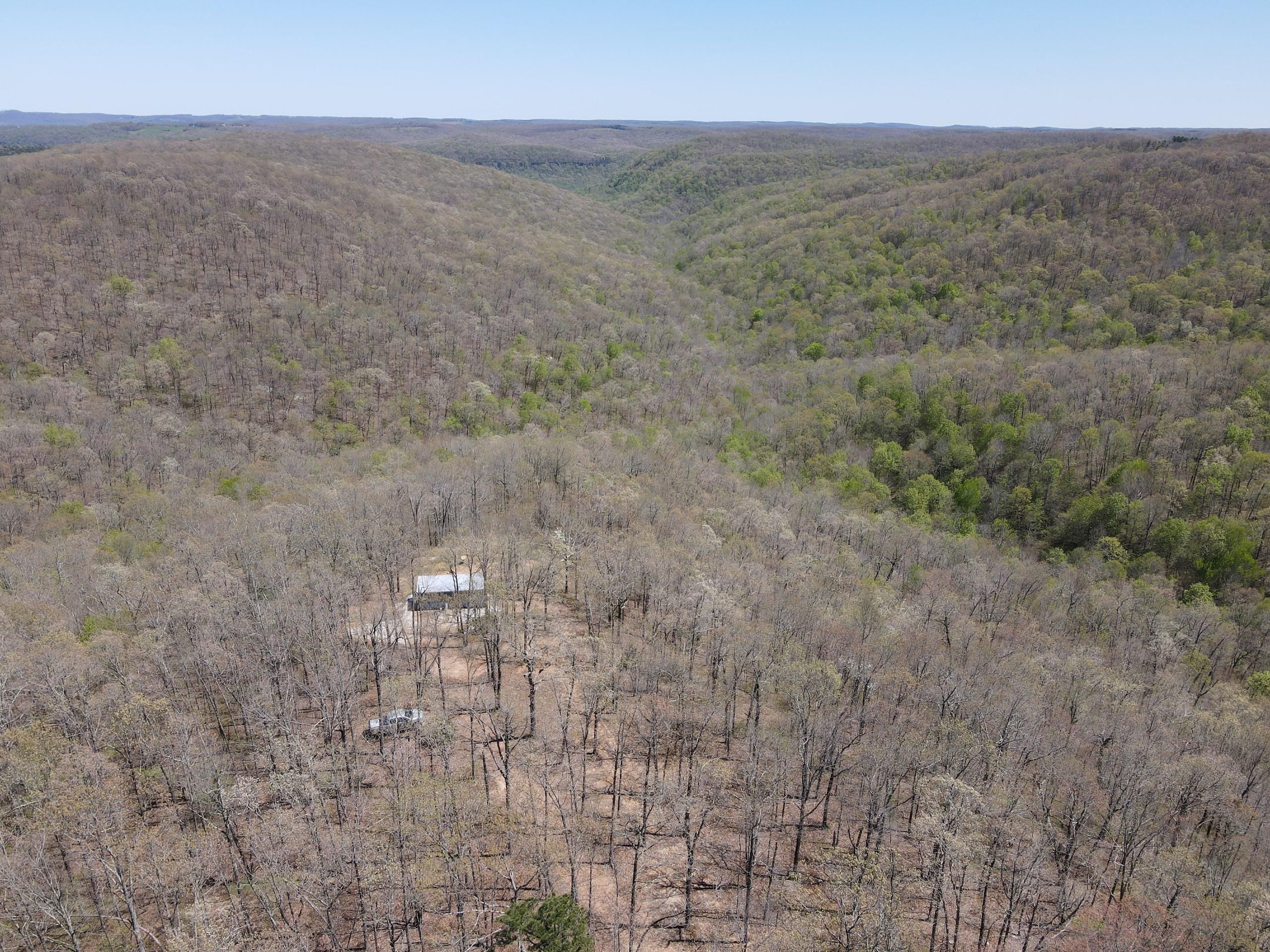 40 acres in Newton County, Arkansas