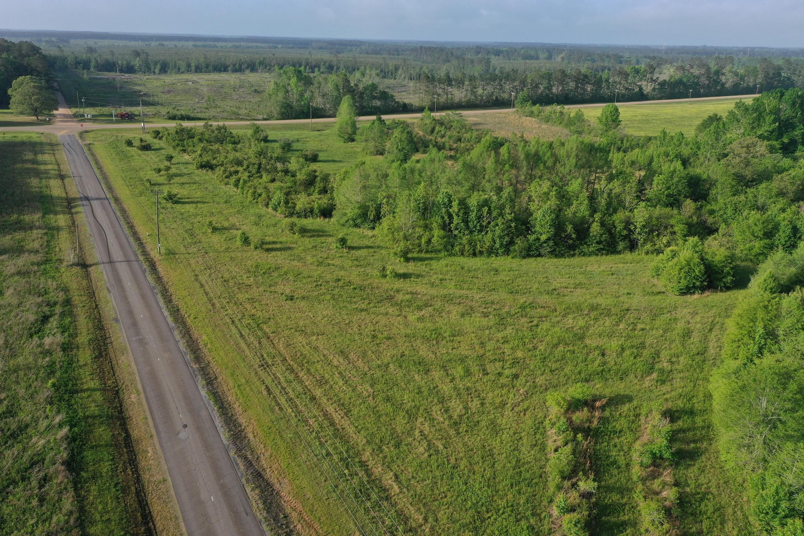 Land For Sale In Tangipahoa Parish - zwgw607