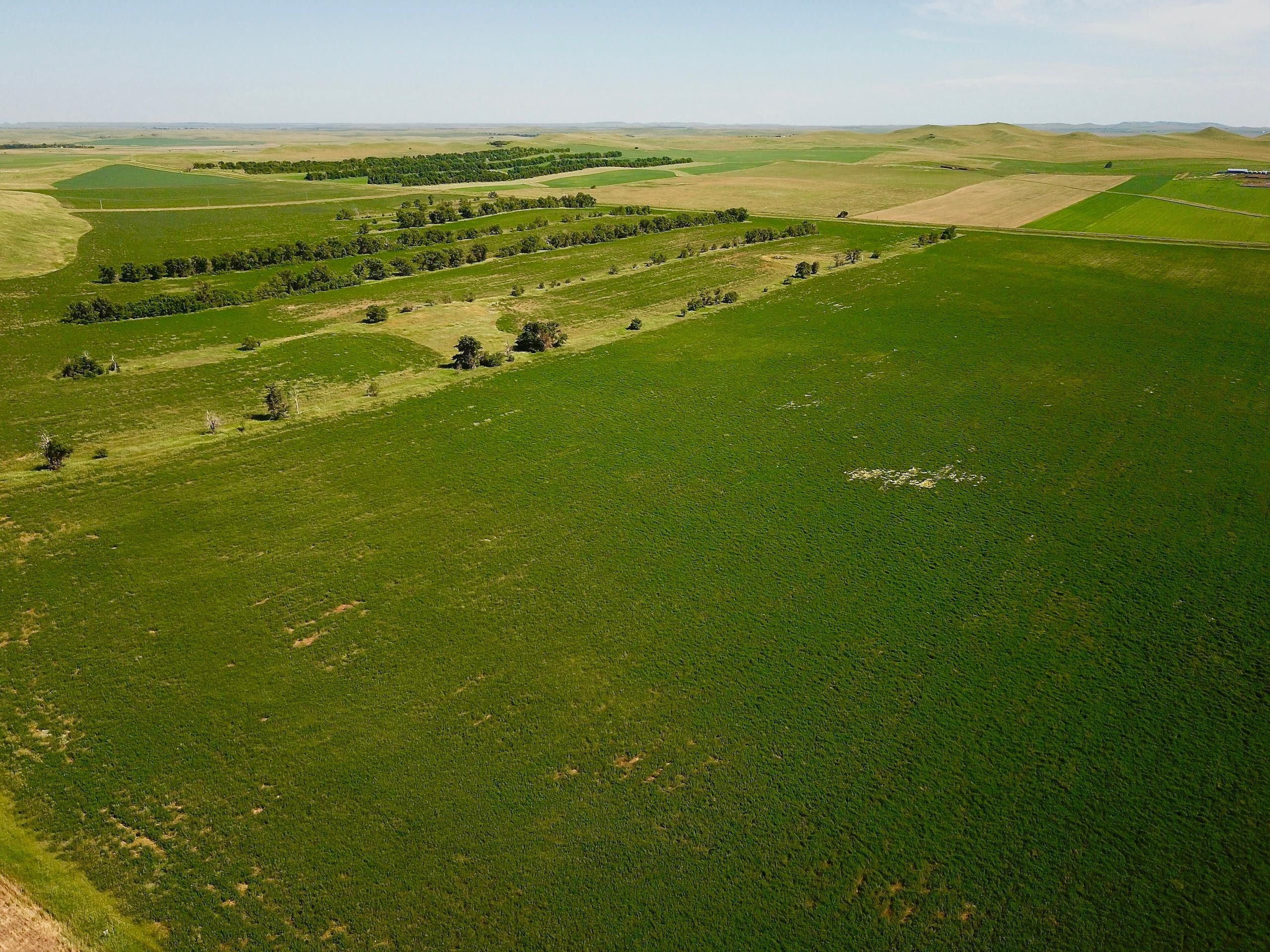 158.7 acres in Grant County, North Dakota