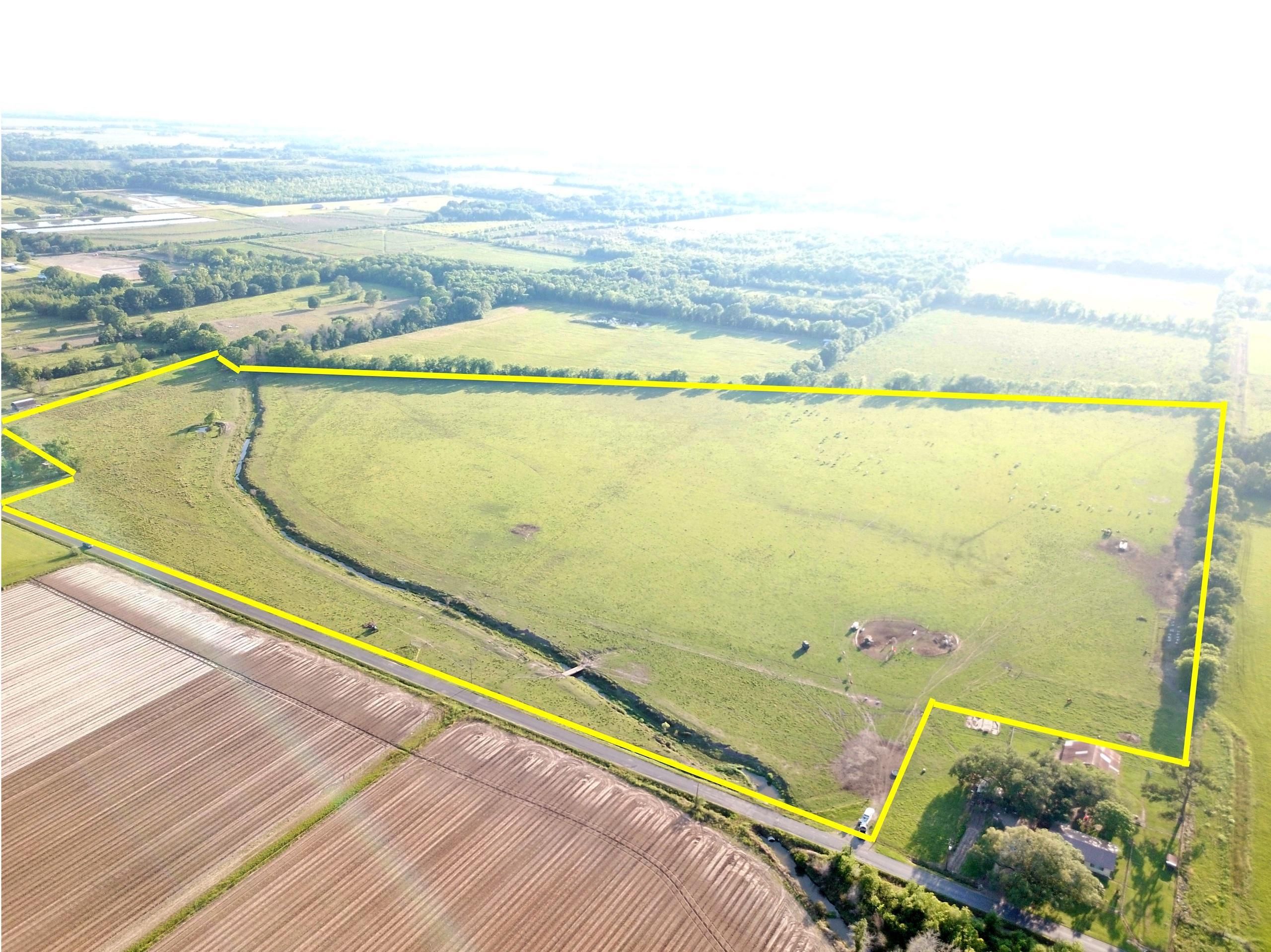 53 acres in Acadia Parish, Louisiana