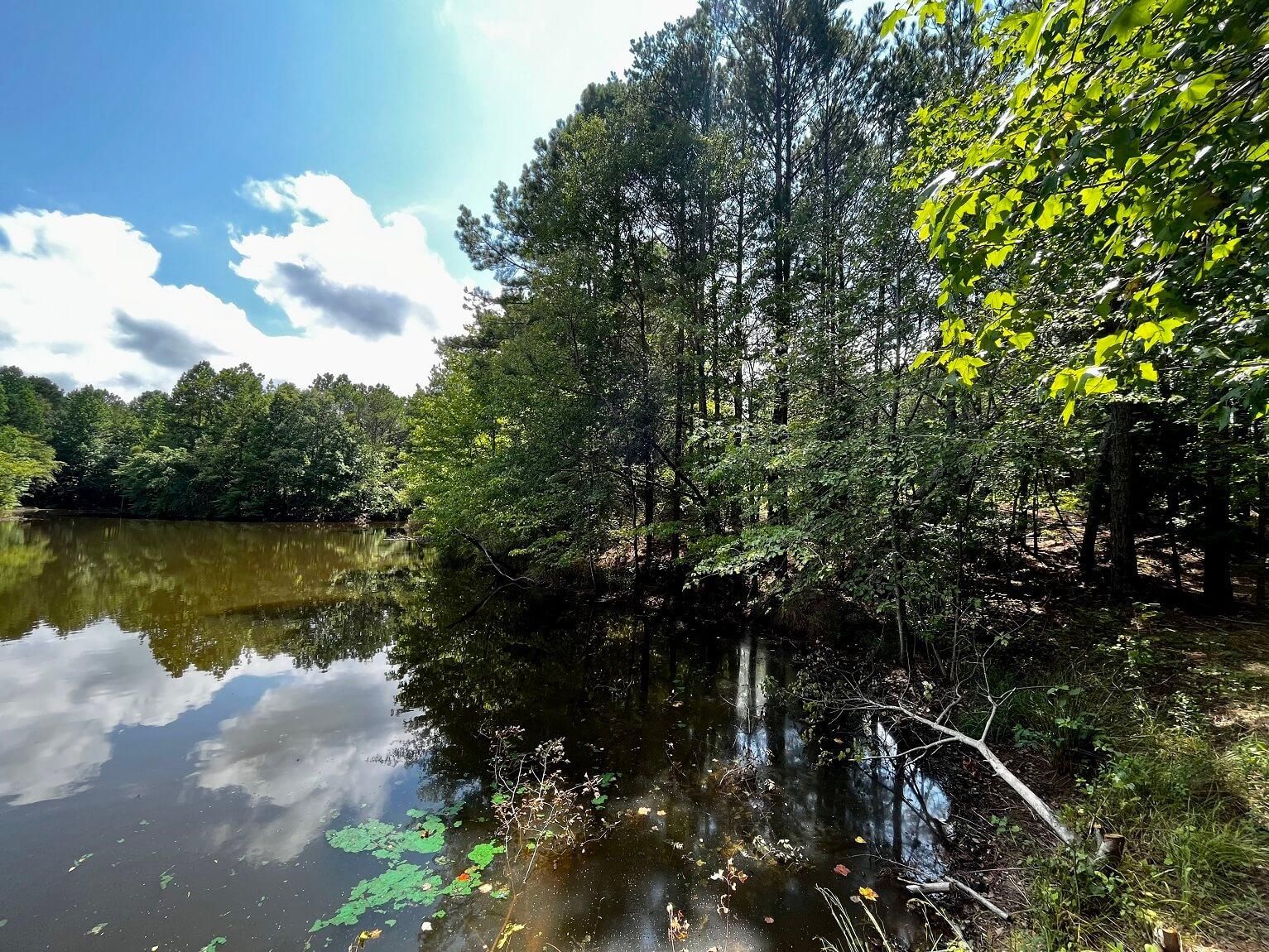 17 acres in Prentiss County, Mississippi