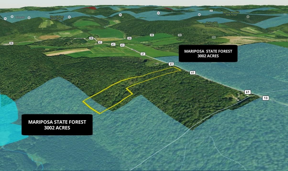 10.89 acres in Madison County, New York