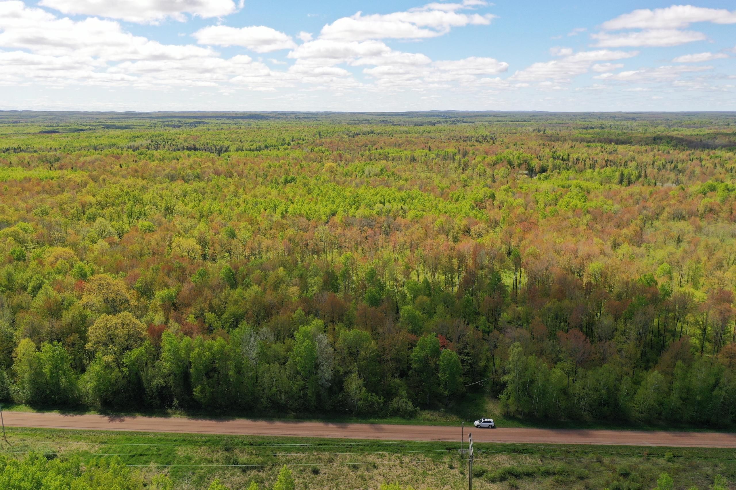 40 acres in Price County, Wisconsin