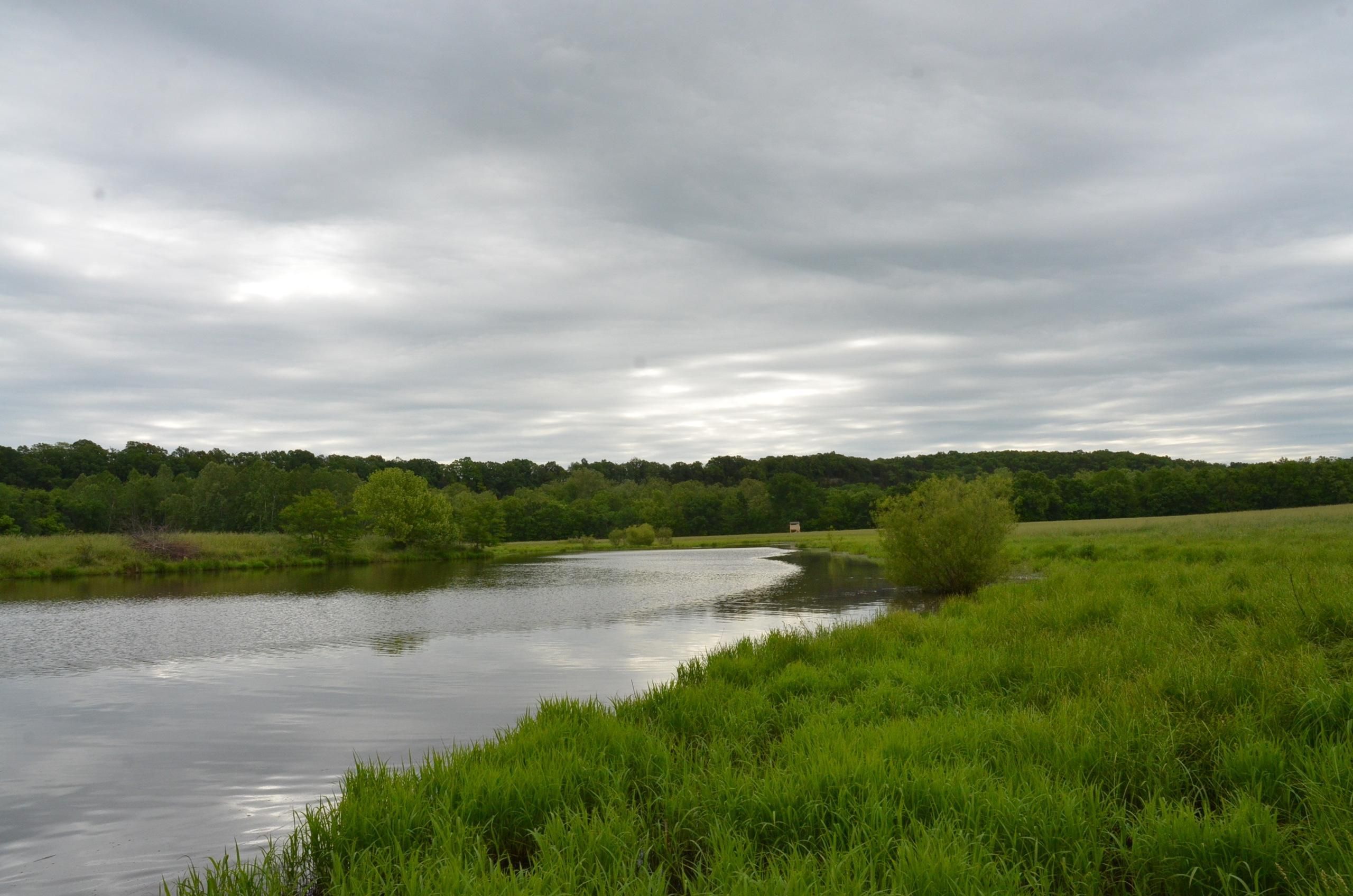 74 acres in Laclede County, Missouri