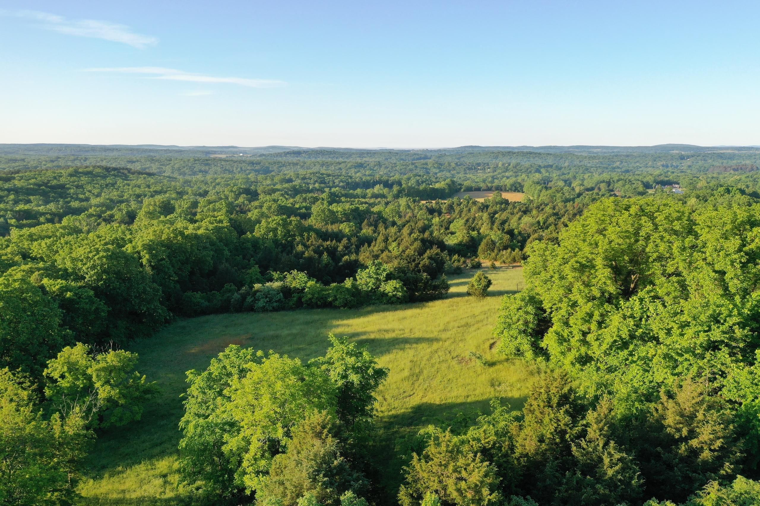 49 acres in Sainte Genevieve County, Missouri